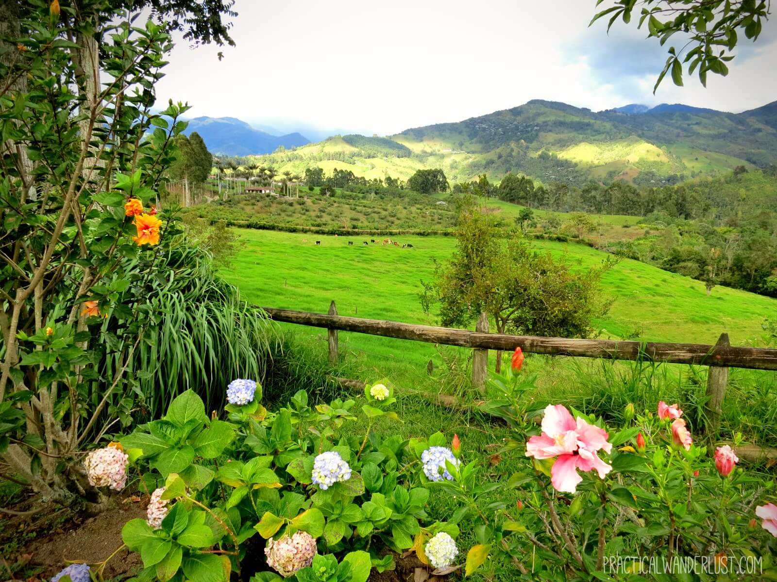 La Serrana Hostel in Salento, Colombia