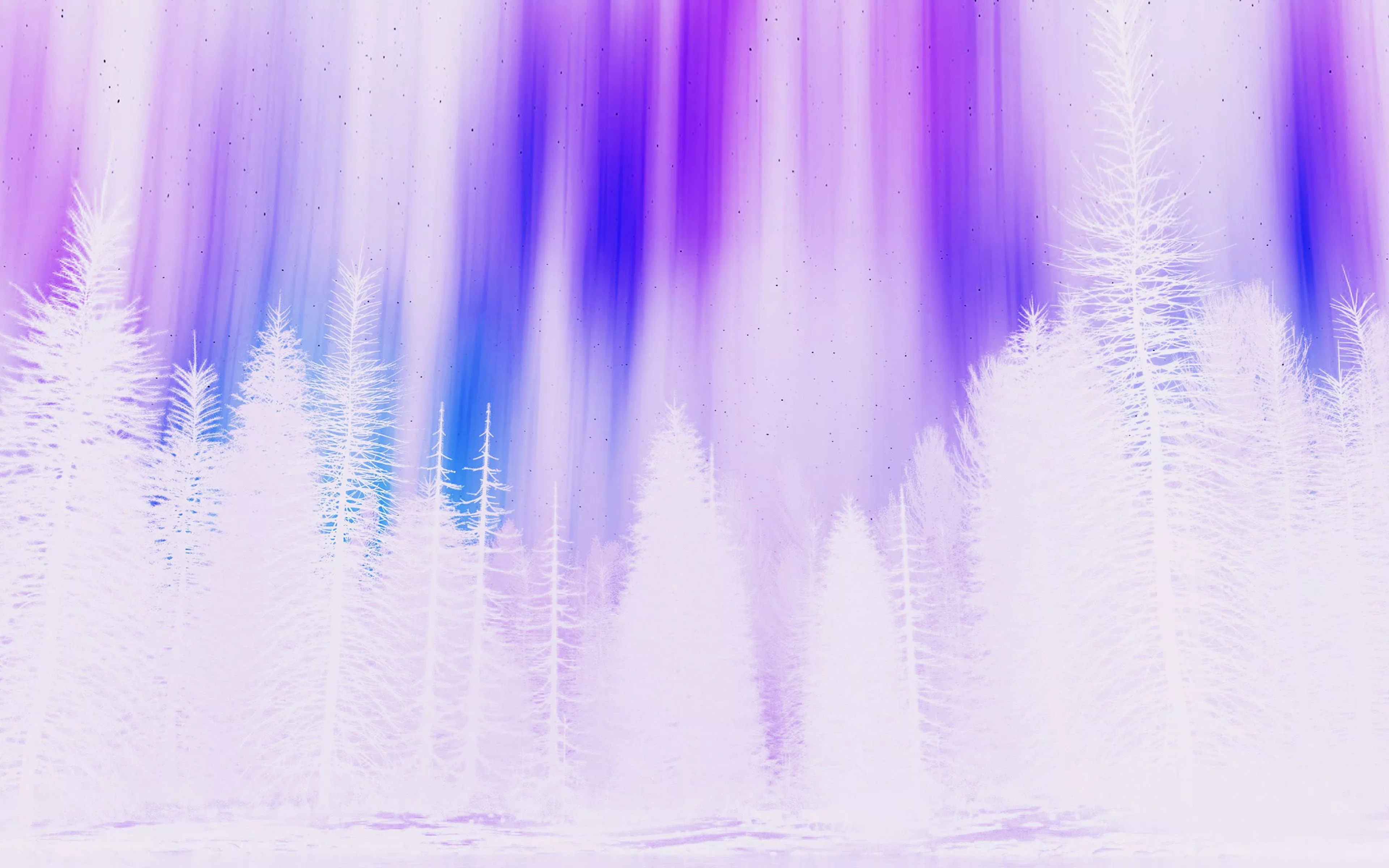 Aurora Night Sky White Purple