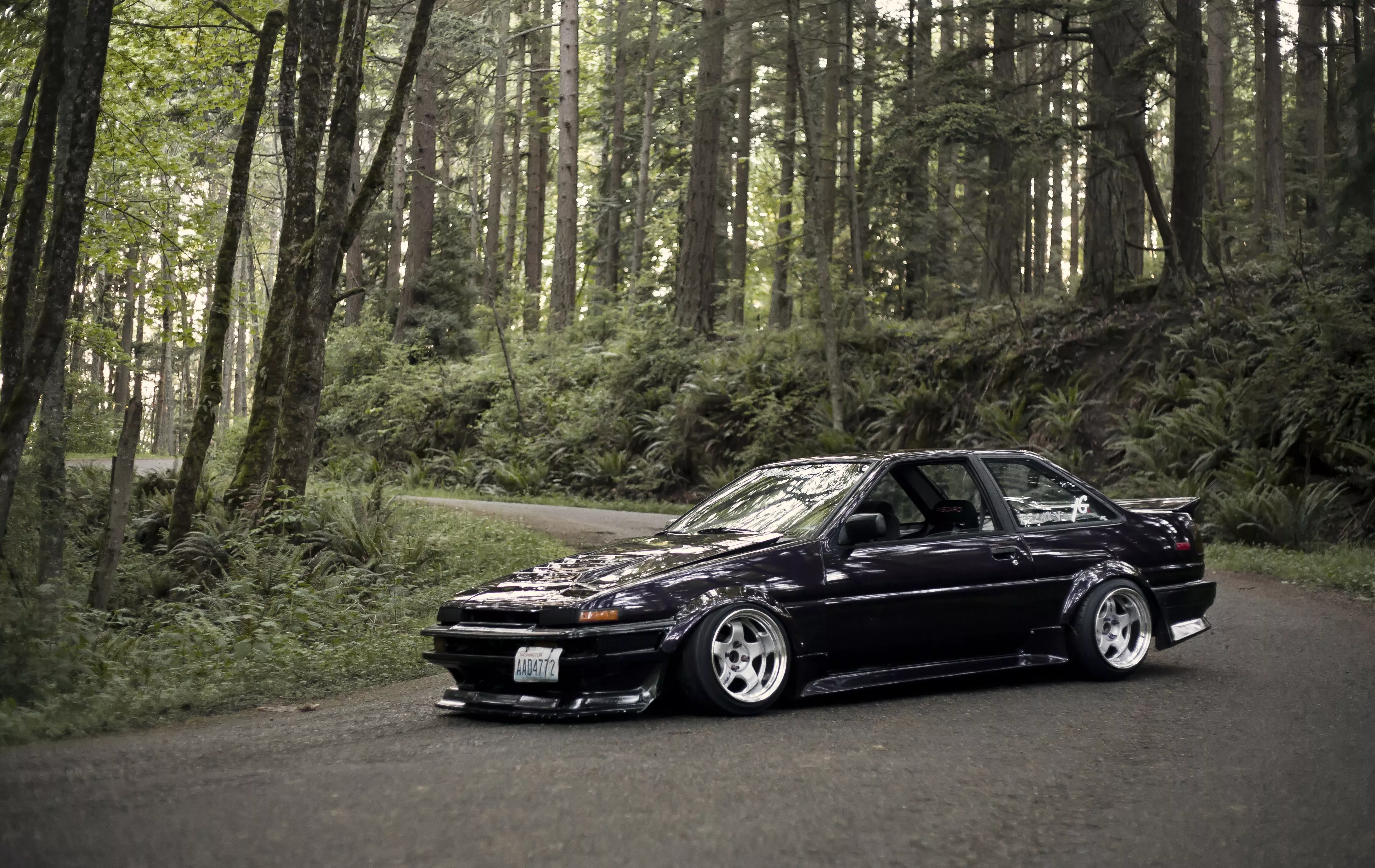 Wallpaper forest, black, Toyota, black