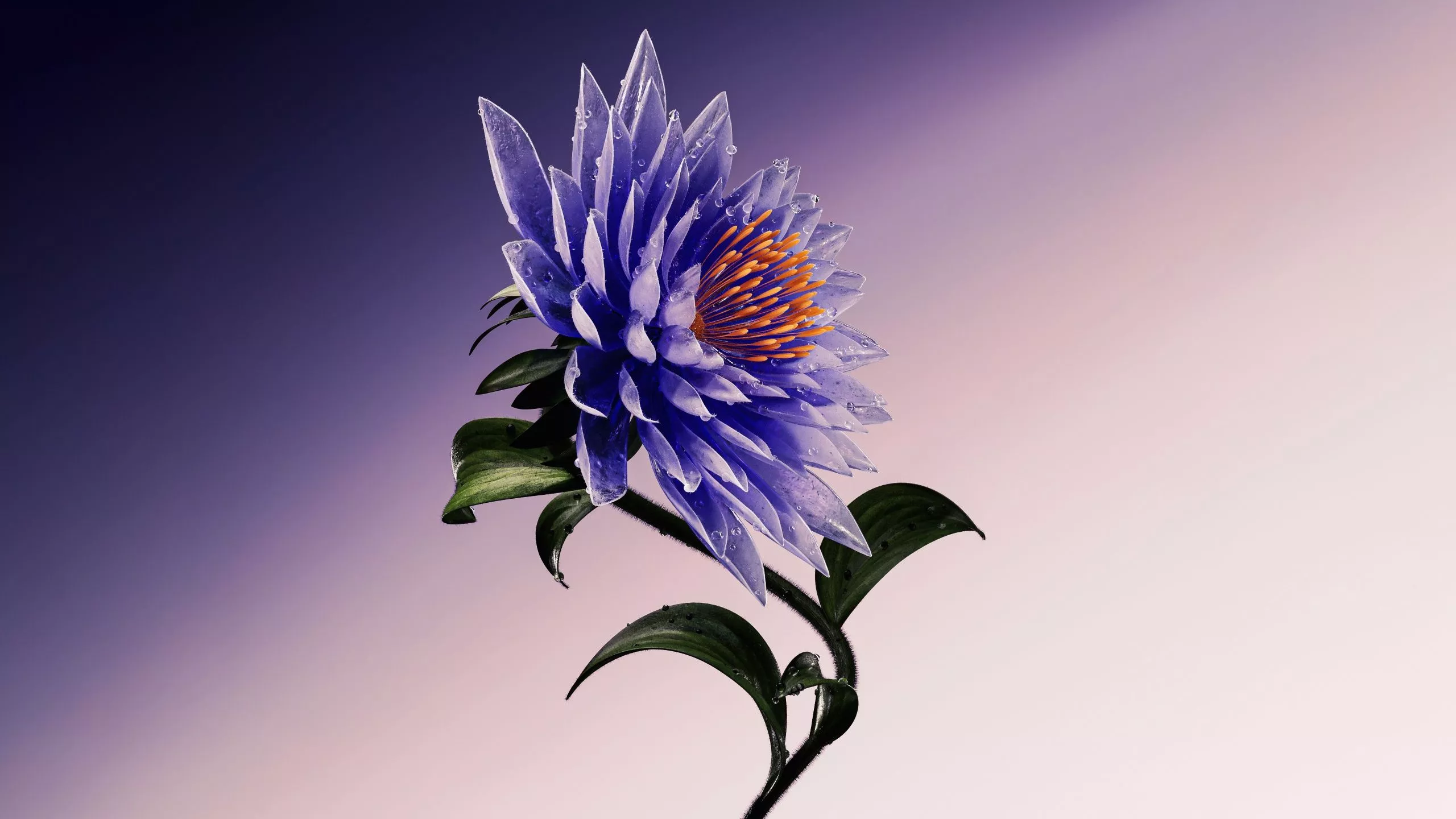 Purple Flower Wallpaper 4K, Artistic