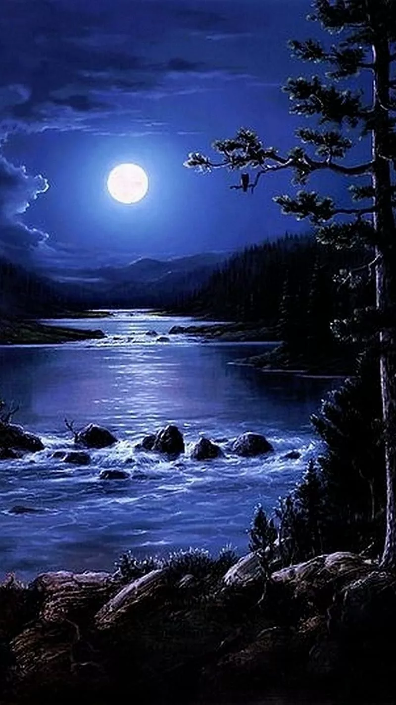 Nature1463, moon, nature, night, trees, water, HD phone wallpaper