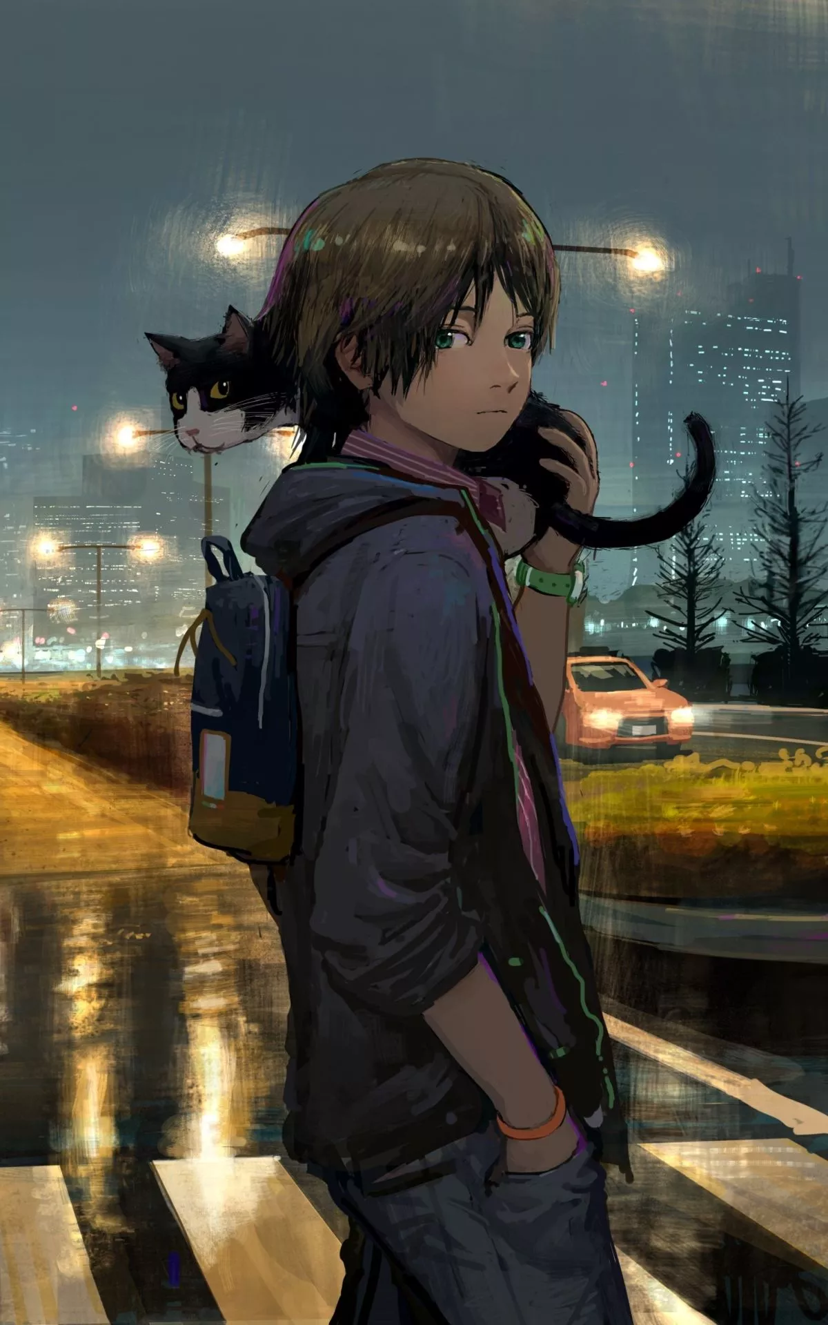 Download Cat Night Anime Boy Anime Boy