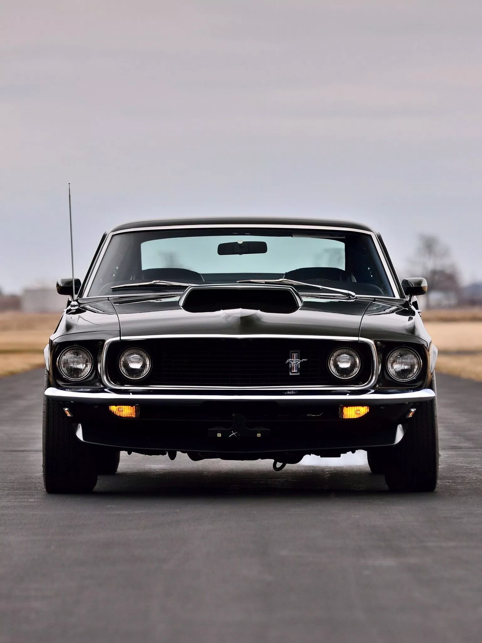 Ford Mustang Wallpaper