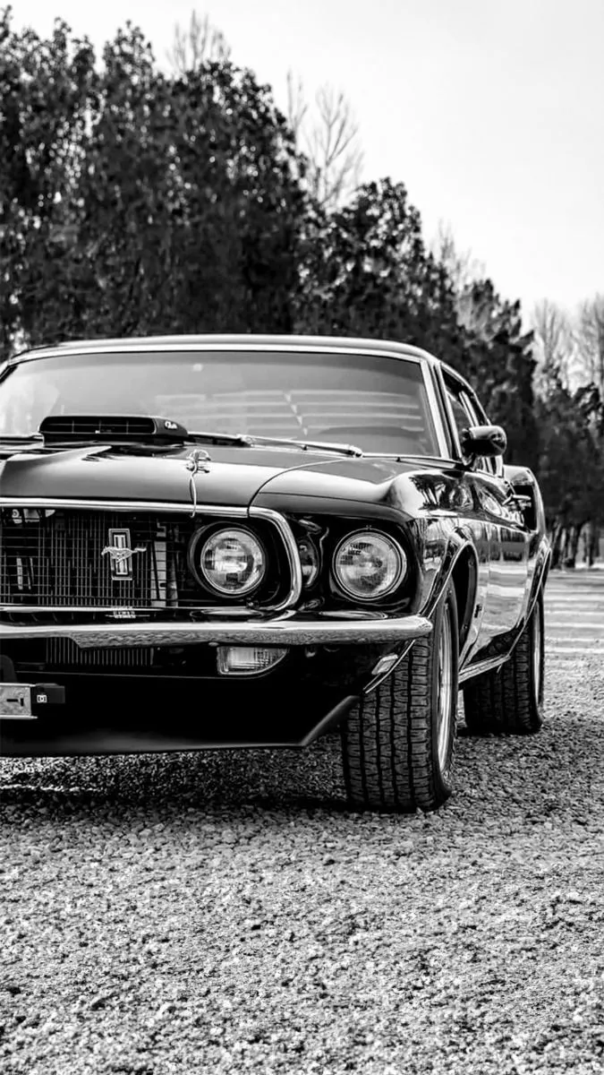 MUSTANG