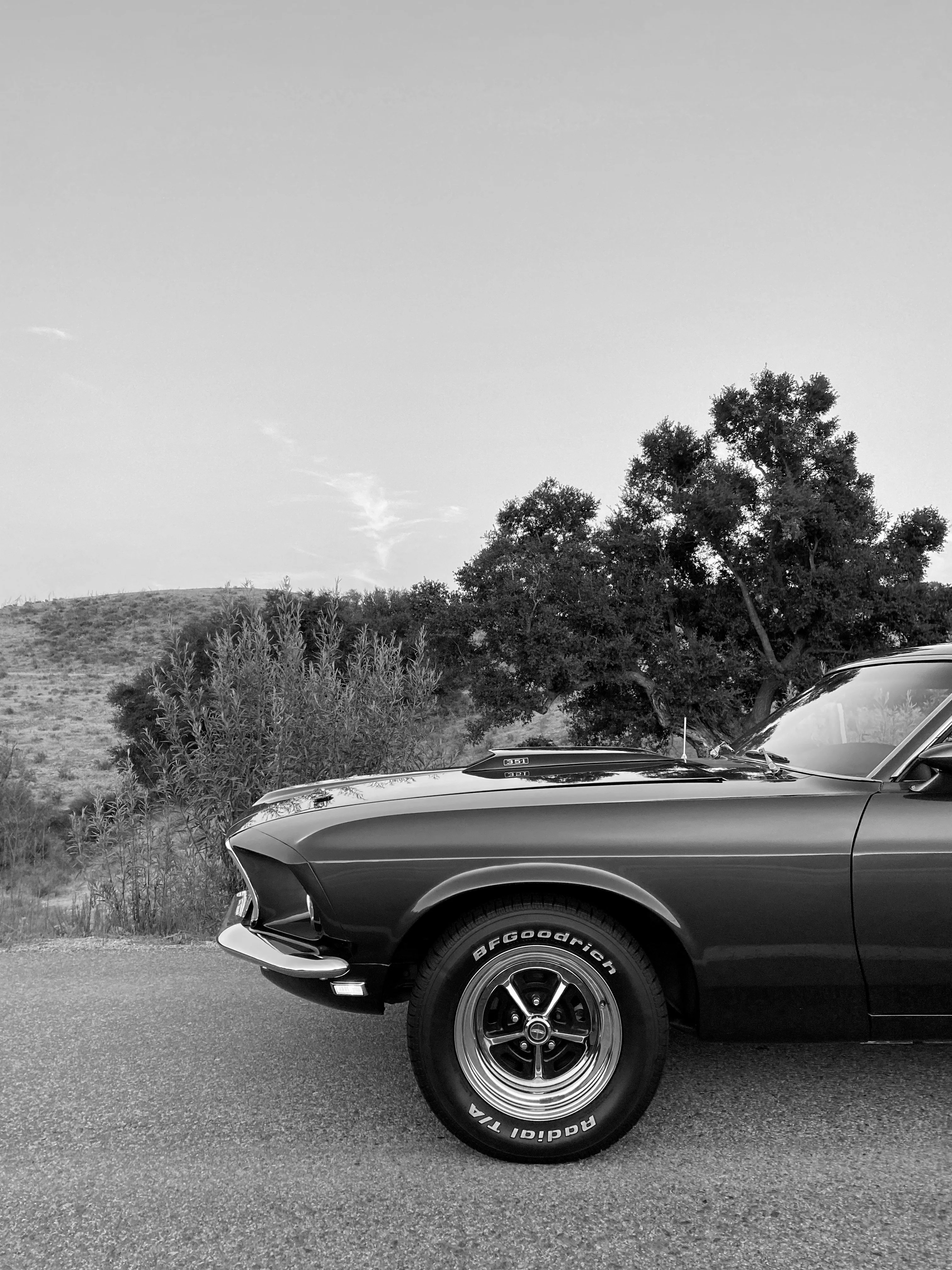 Ford Mustang Mach 1 FINE ART PRINT