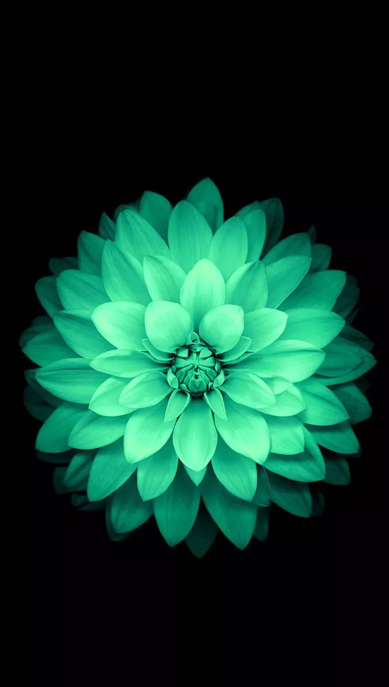 HD neon green wallpaper