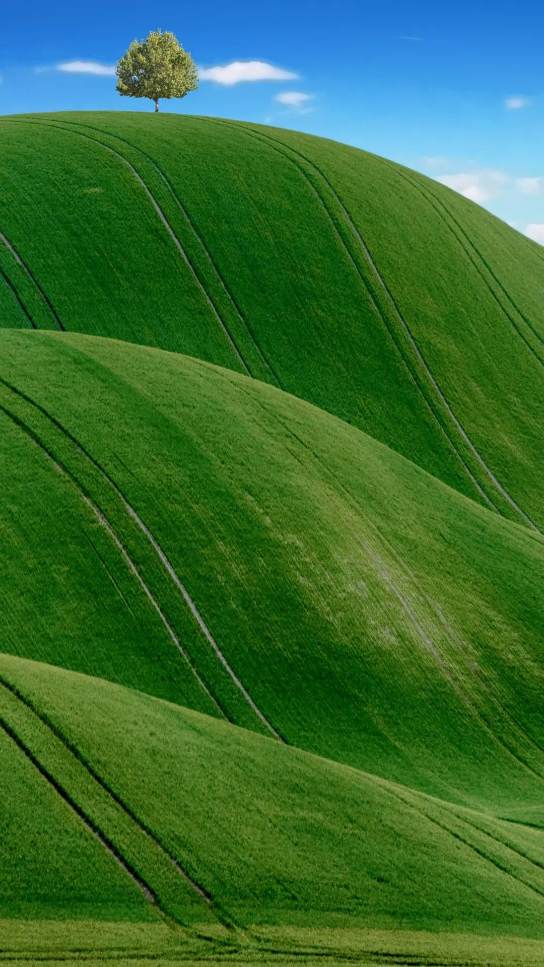 Green Meadow Wallpaper 4K, Countryside