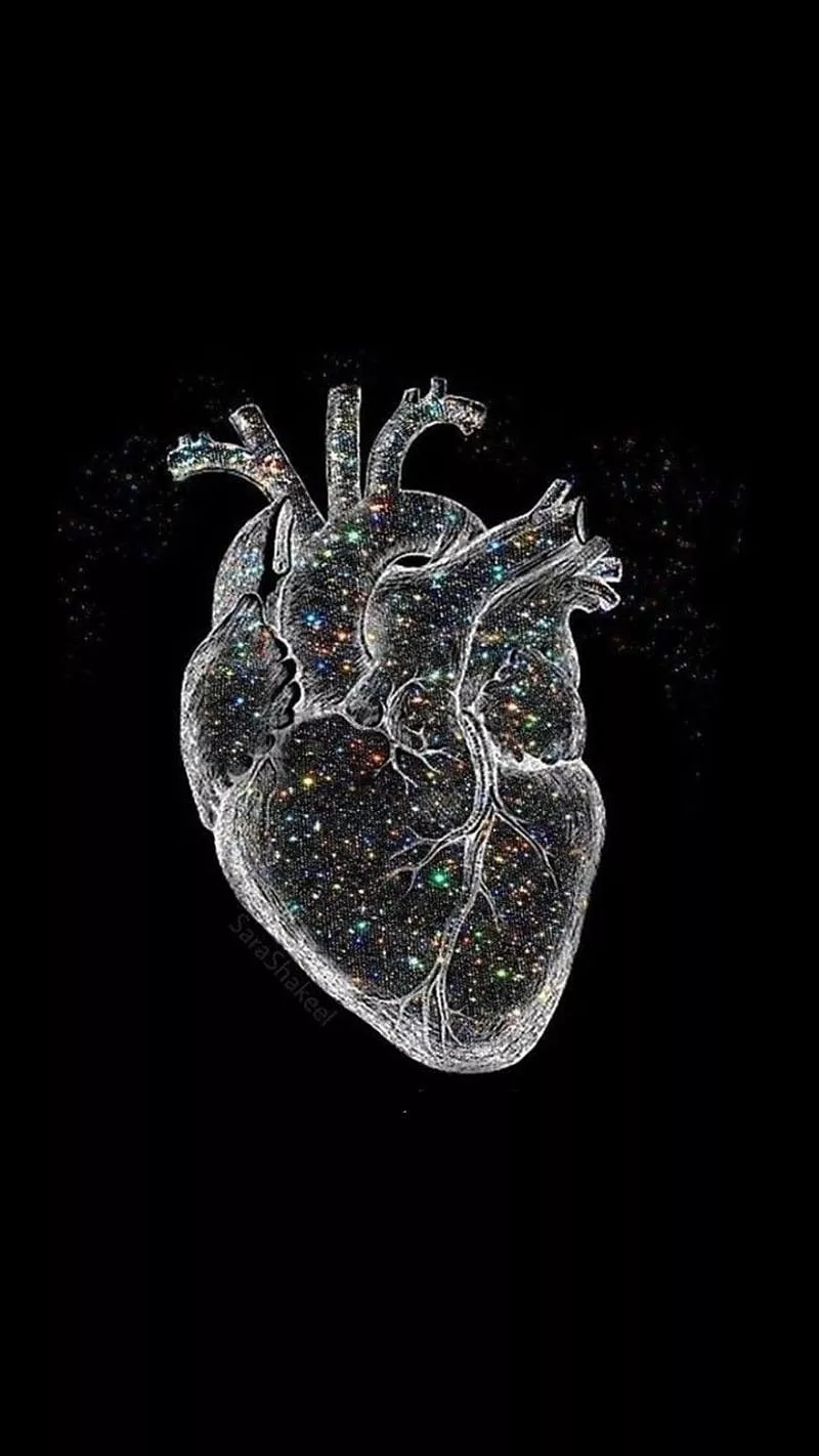 Medical, Anatomical, HD phone wallpaper