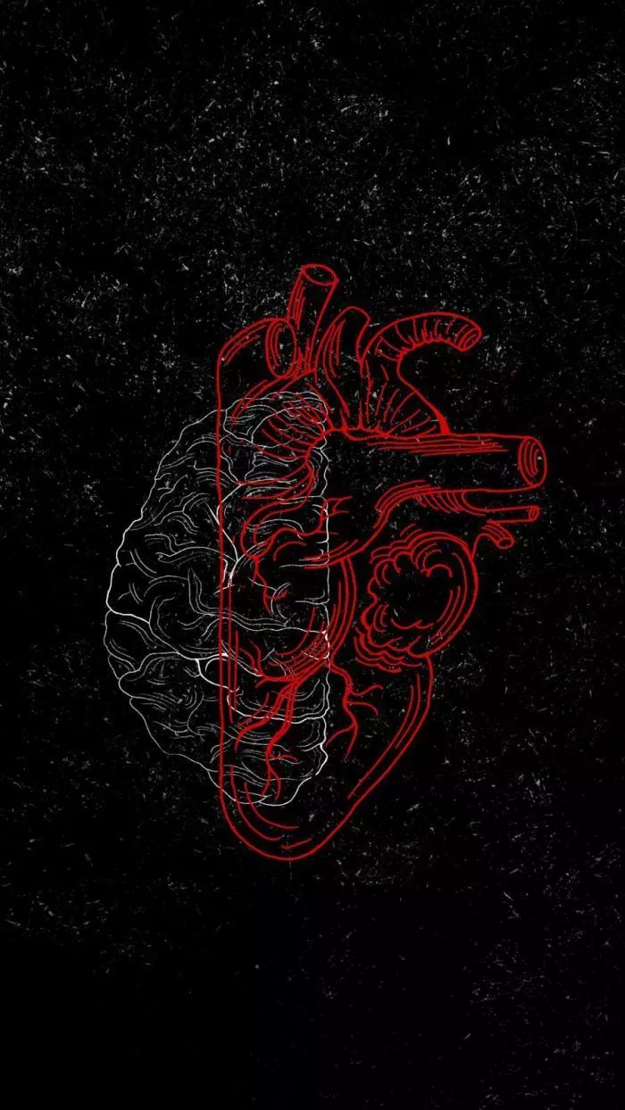 Brain vs Heart Art