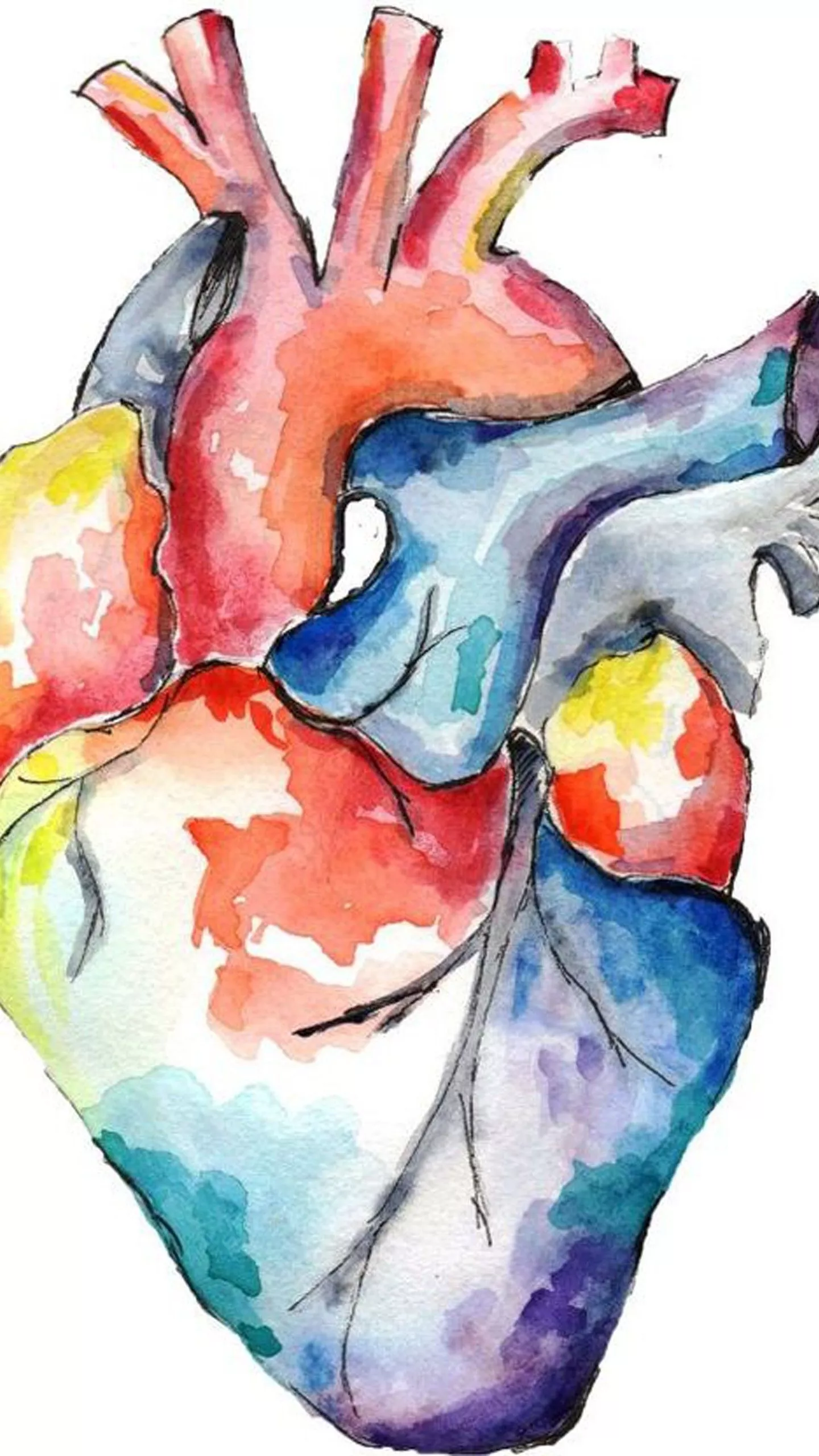 Heart Drawing In White Background HD