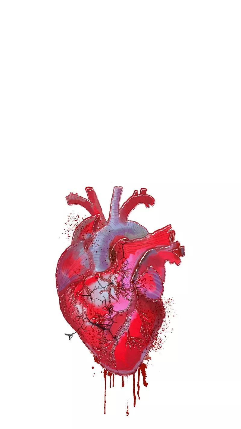Drawing Heart, art, blood, darwing