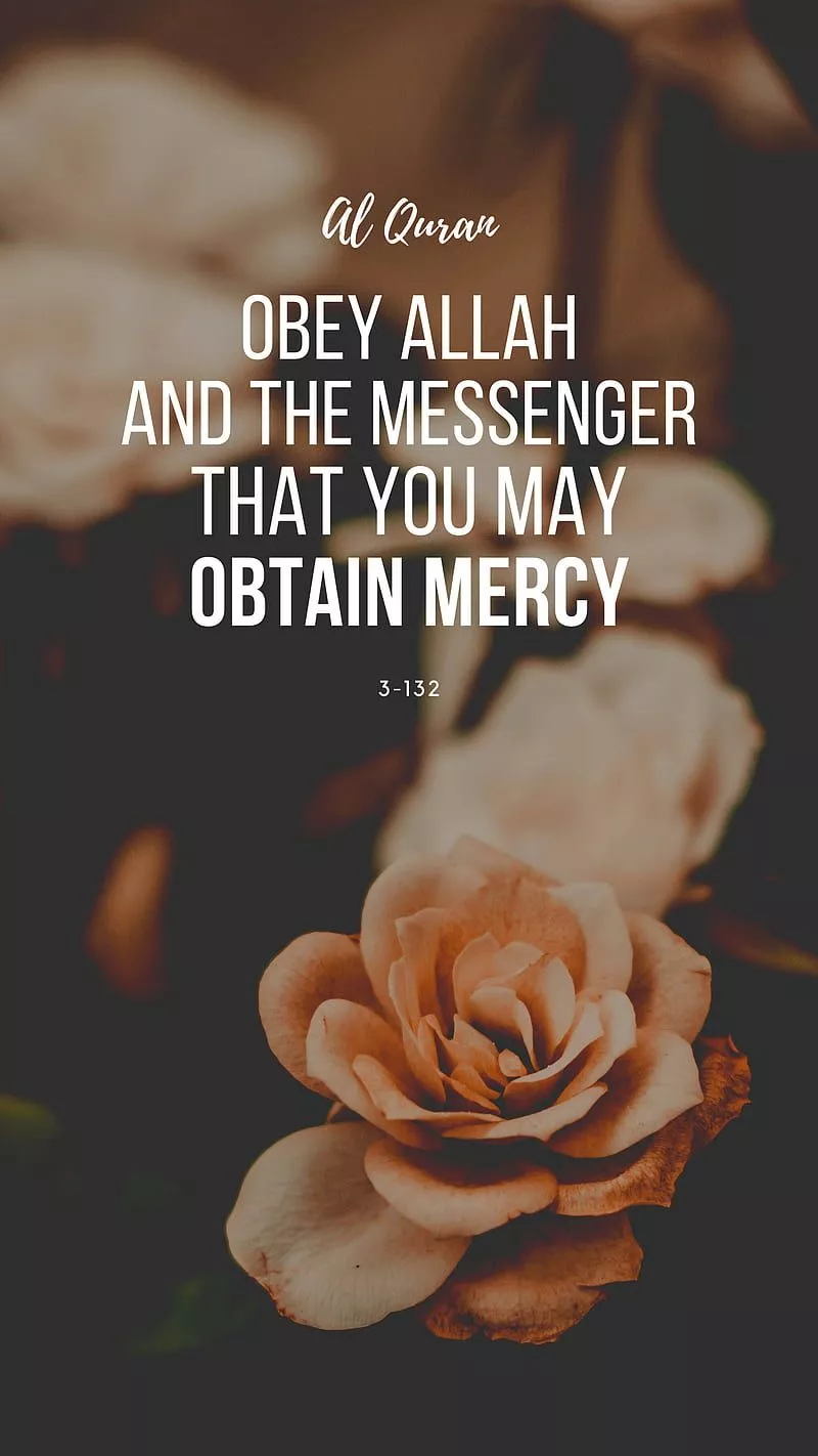 A B C Islamic WP, bonito, iphone, islam