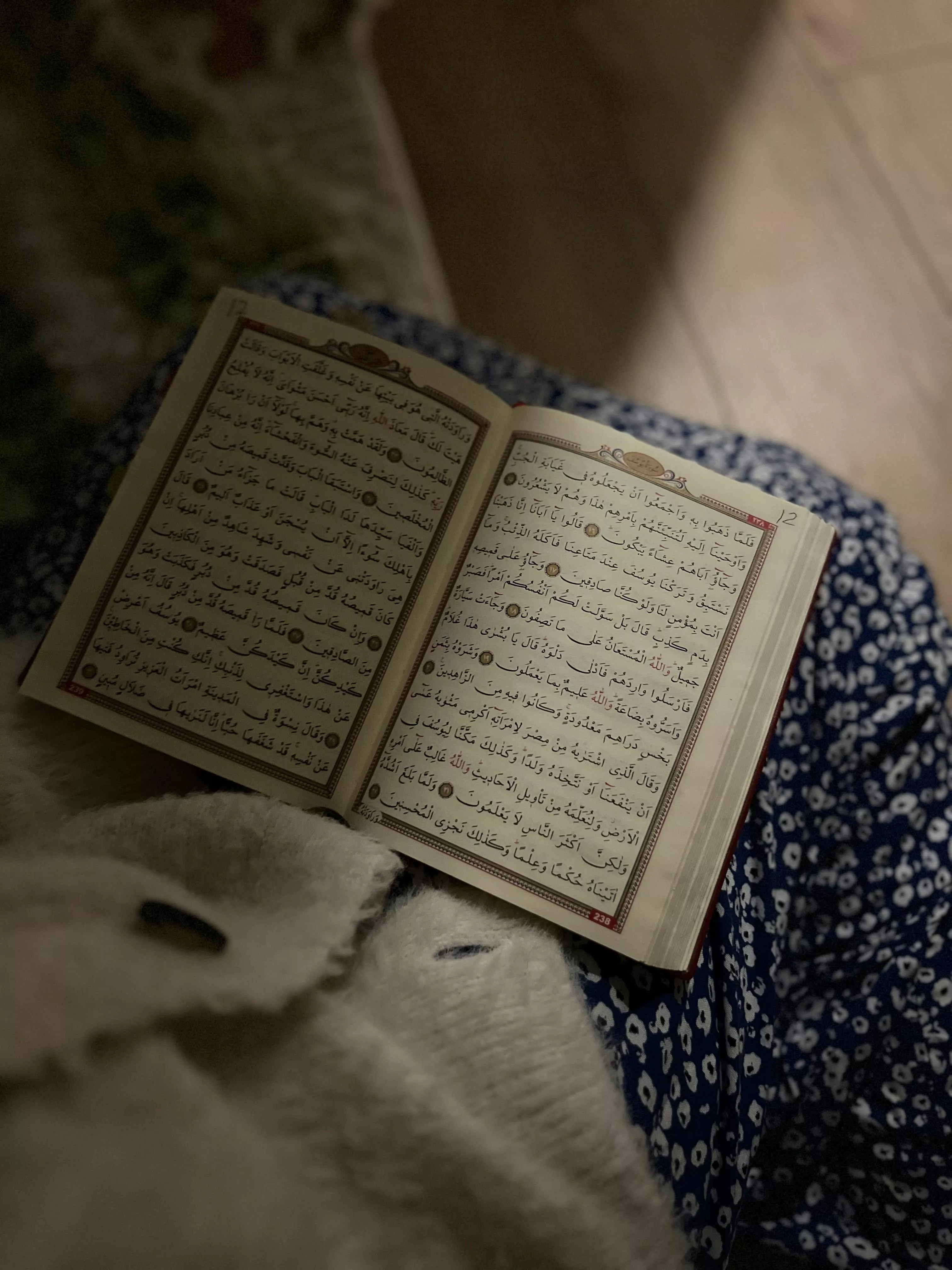 Open Quran with Decorative Border