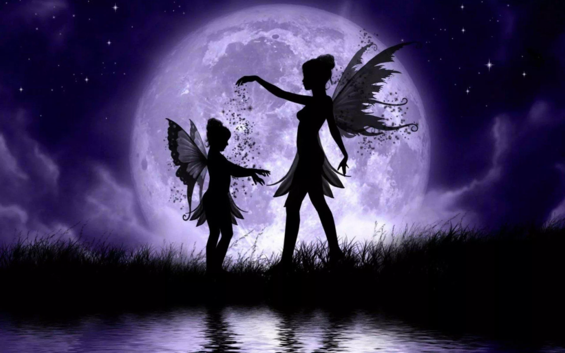 Enchanted Fairy Moonlight