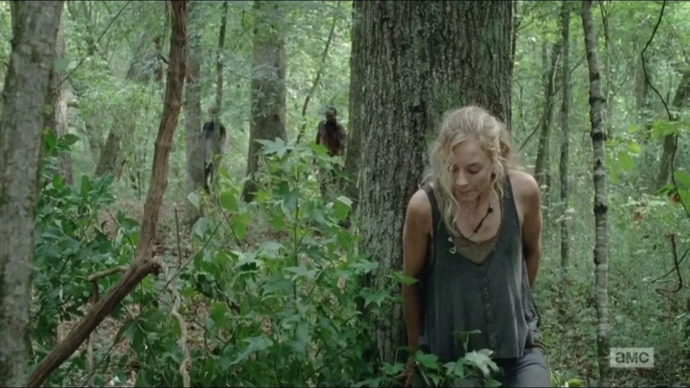 Walking Dead- Season 4, Episode