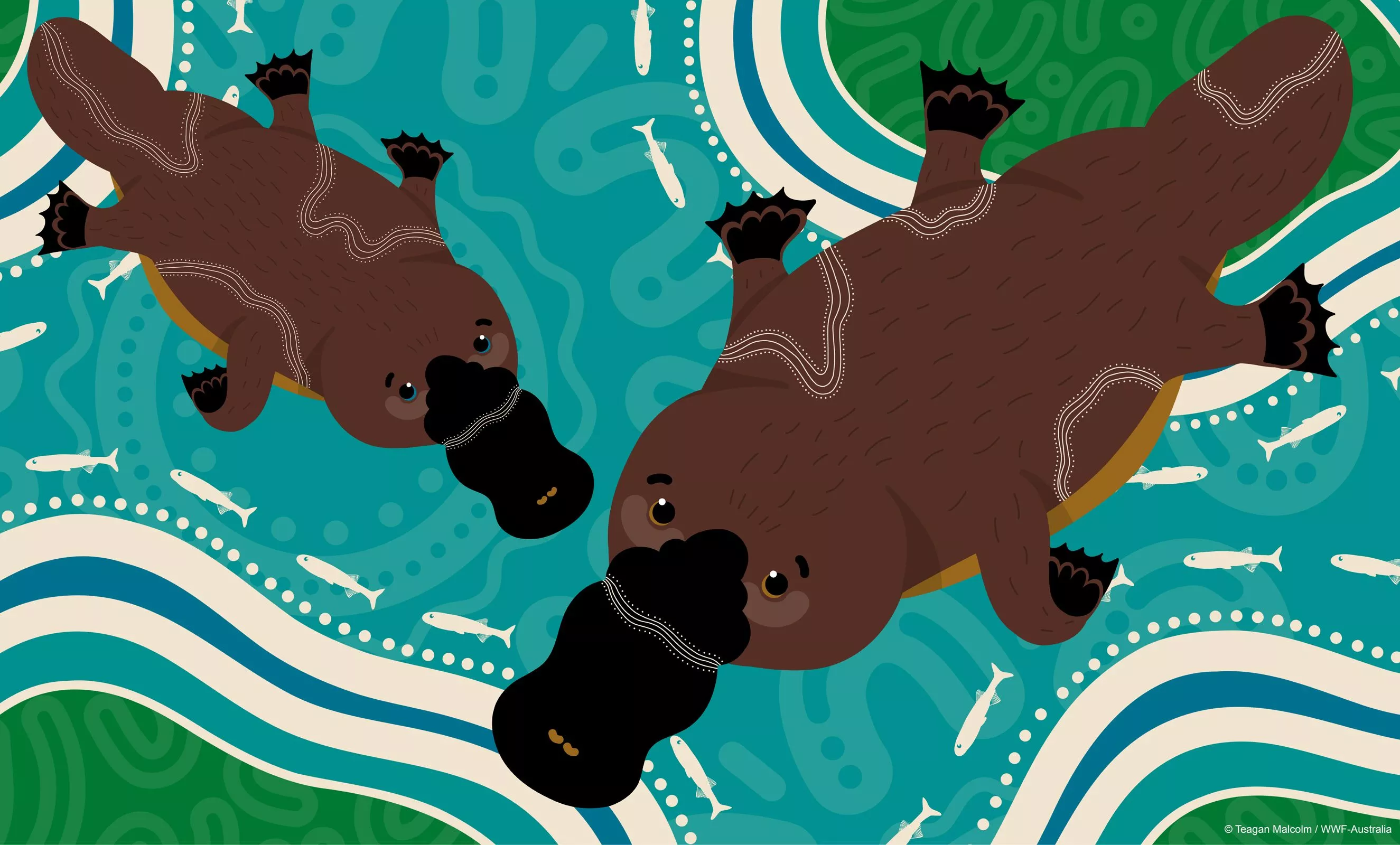 Indigenous Platypus Art Wallpaper