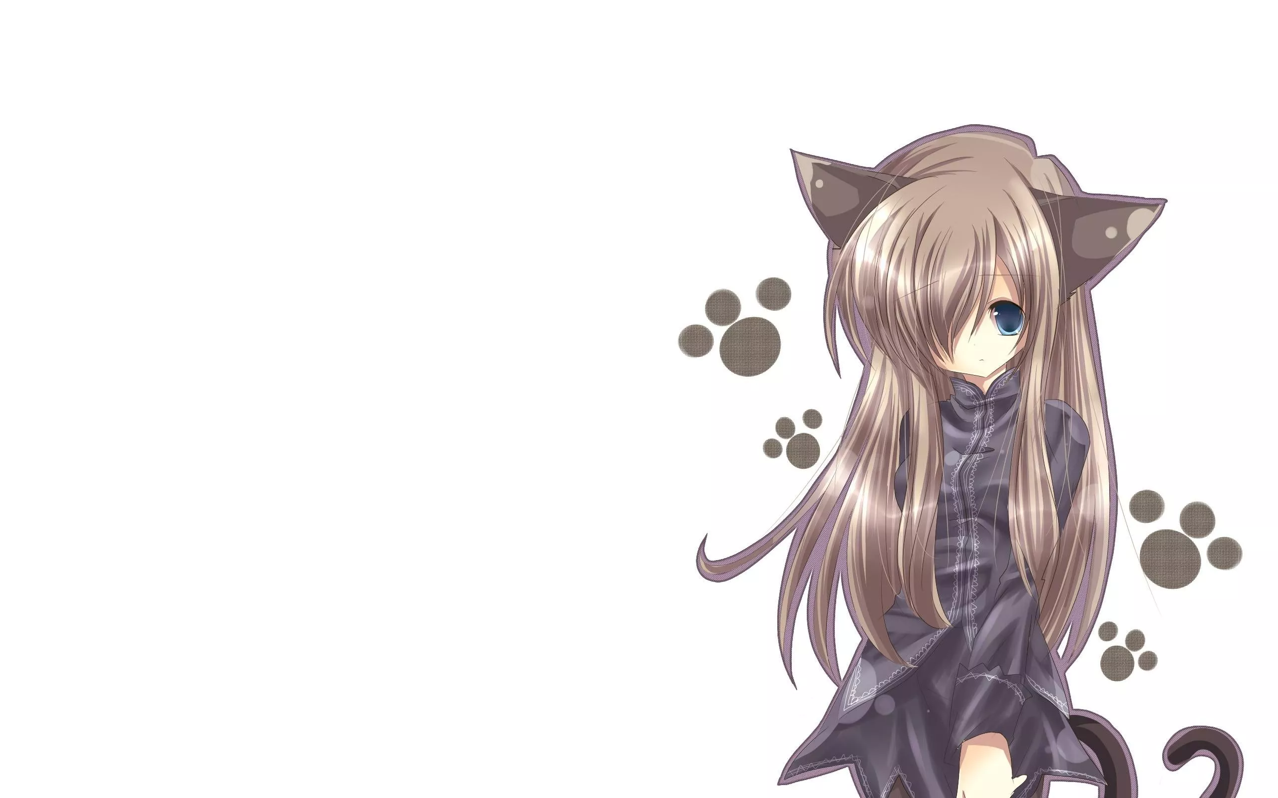 cat girl, nekomimi, art Wallpaper, HD