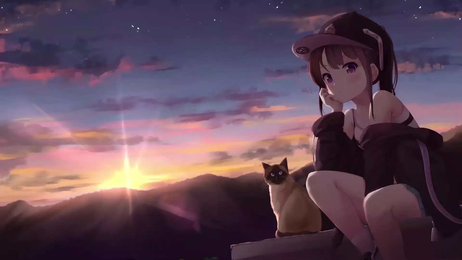 Anime Girl And Cat At Sunset Live