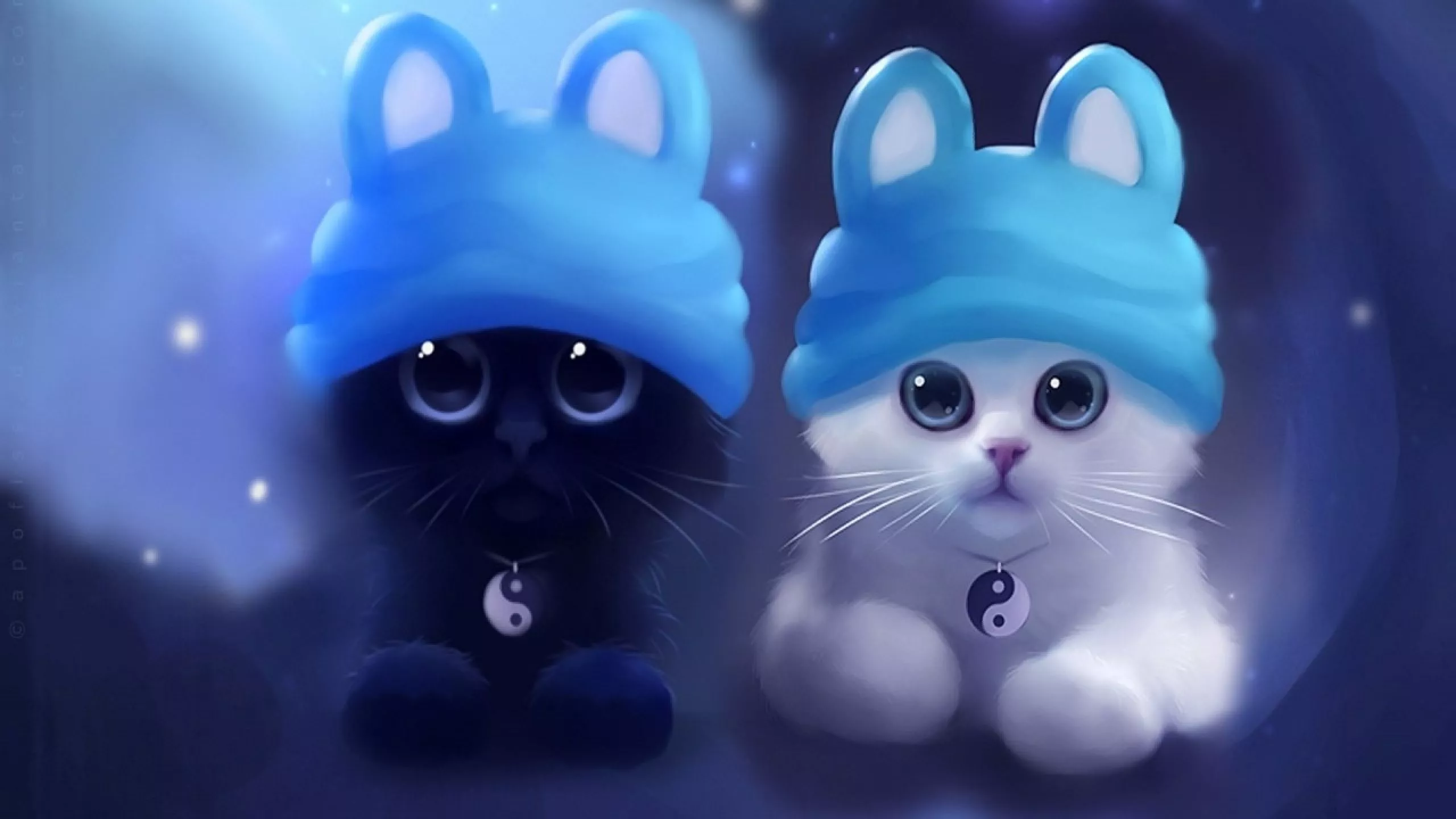 White Black Cute Kittens Wallpaper, HD