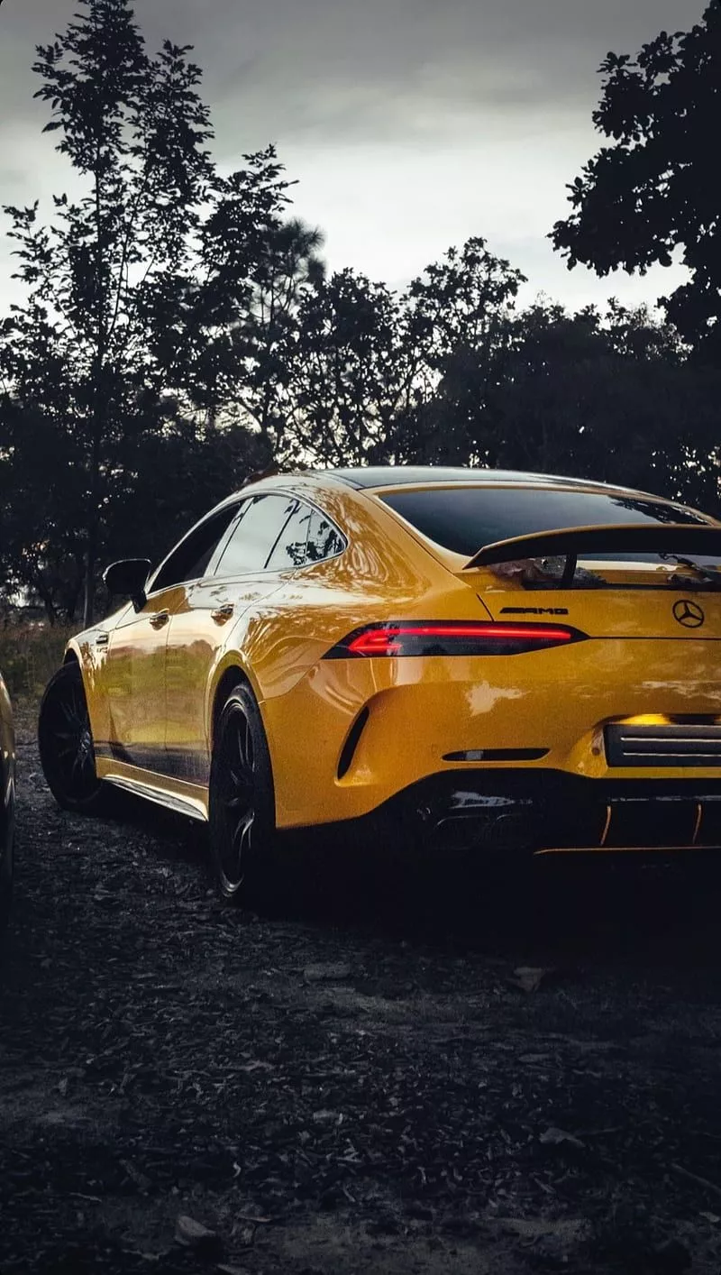 Mercedes AMG GT 63s, autumn, v8 biturbo