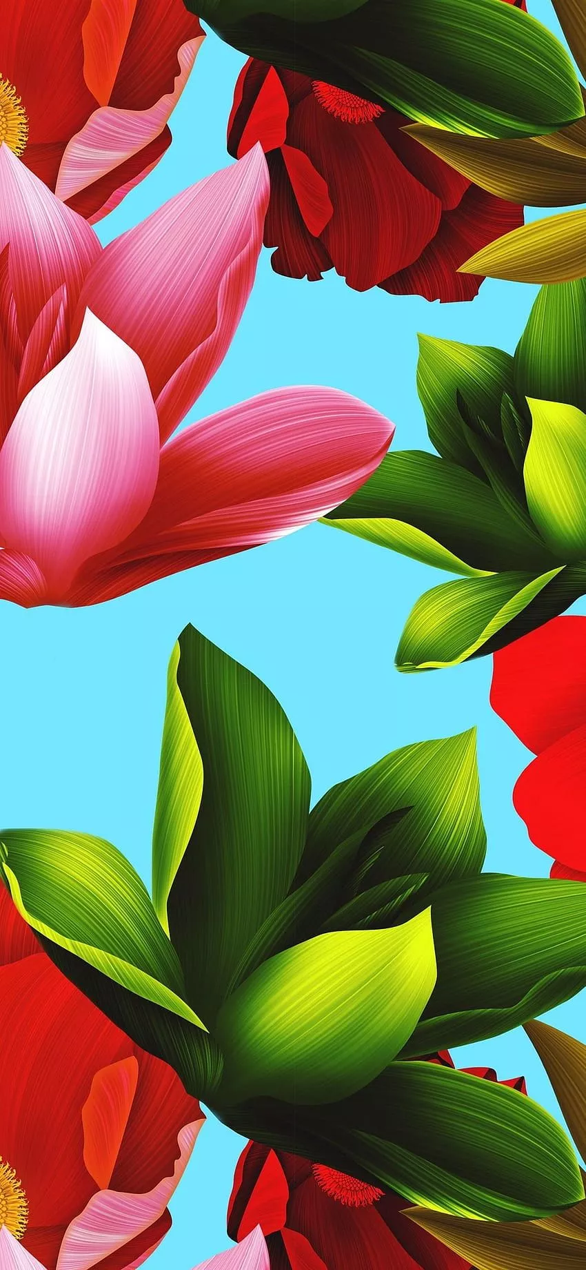 HD phone wallpaper