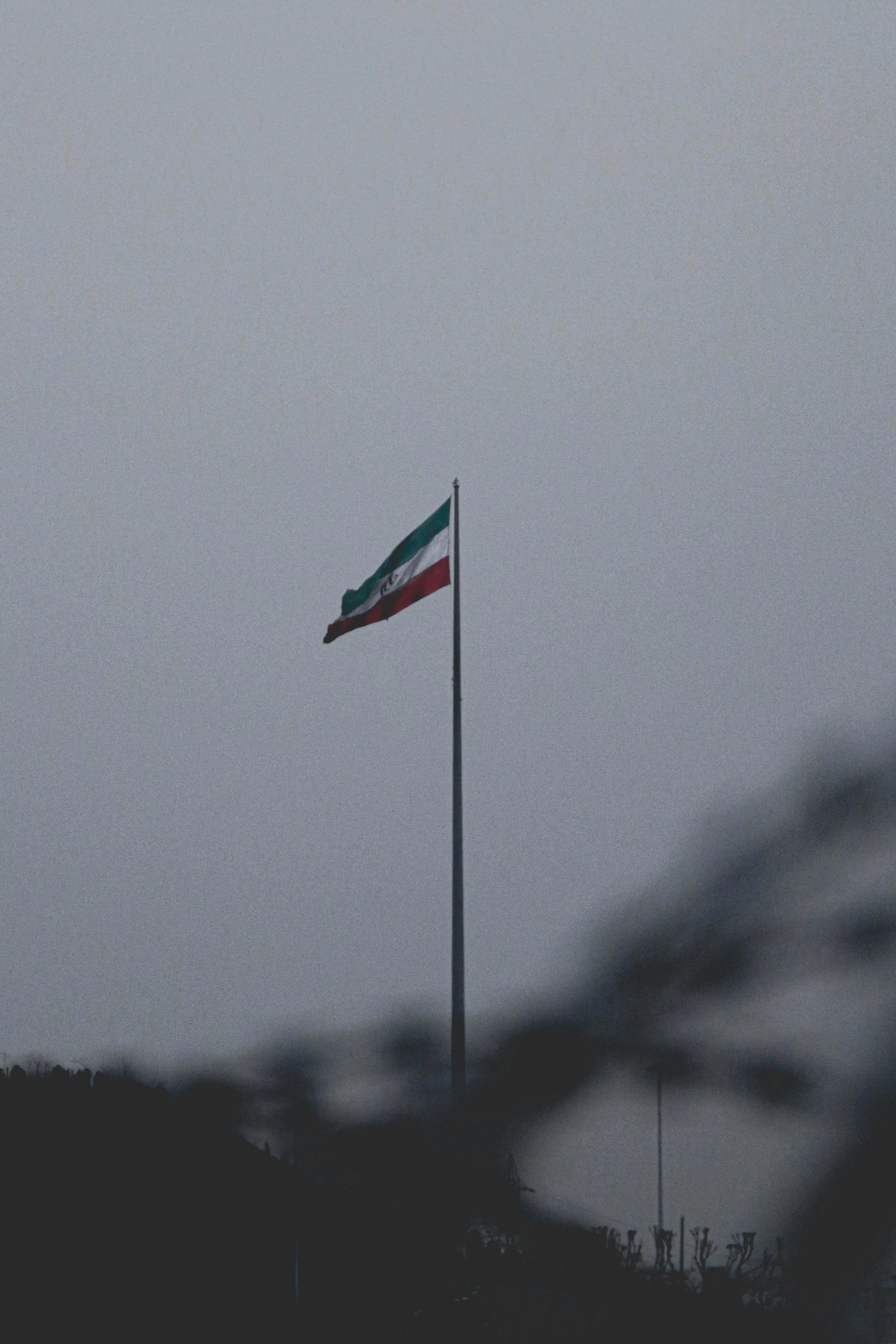 Iran Flag on Flagpole · Free