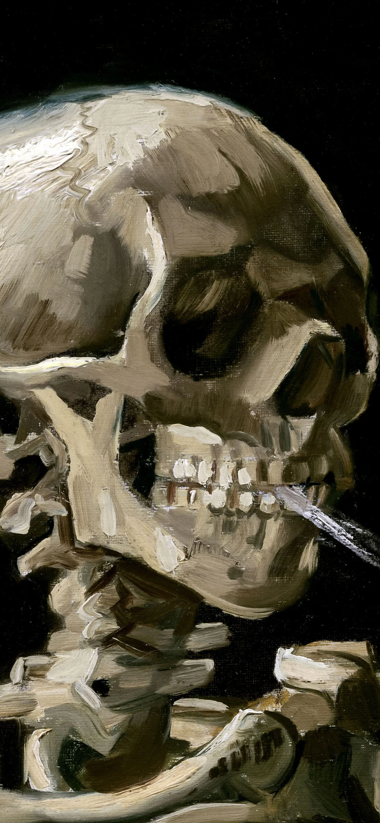 Van Gogh Skeleton Phone Wallpaper
