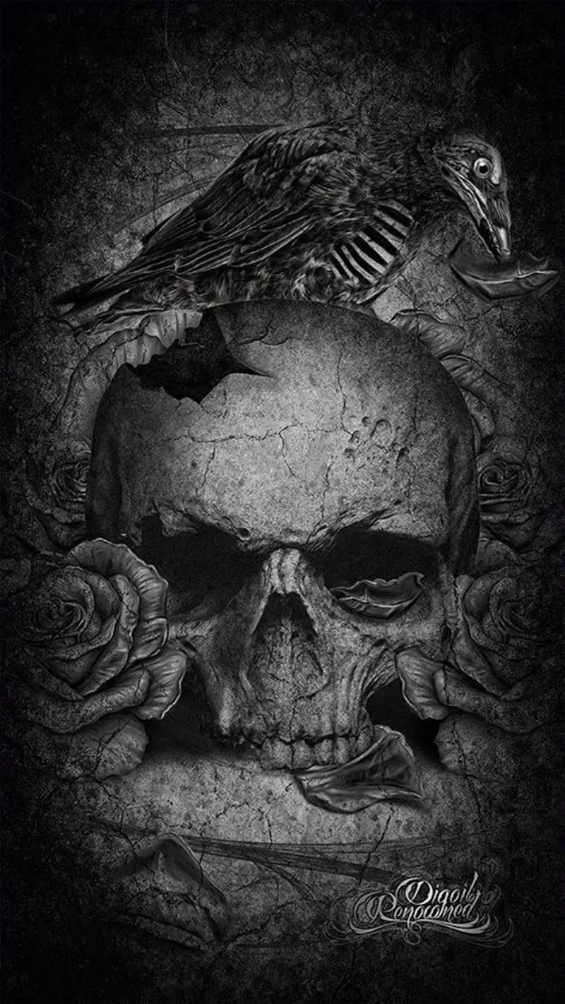 Raven Skull, dark, gothic, rose, HD