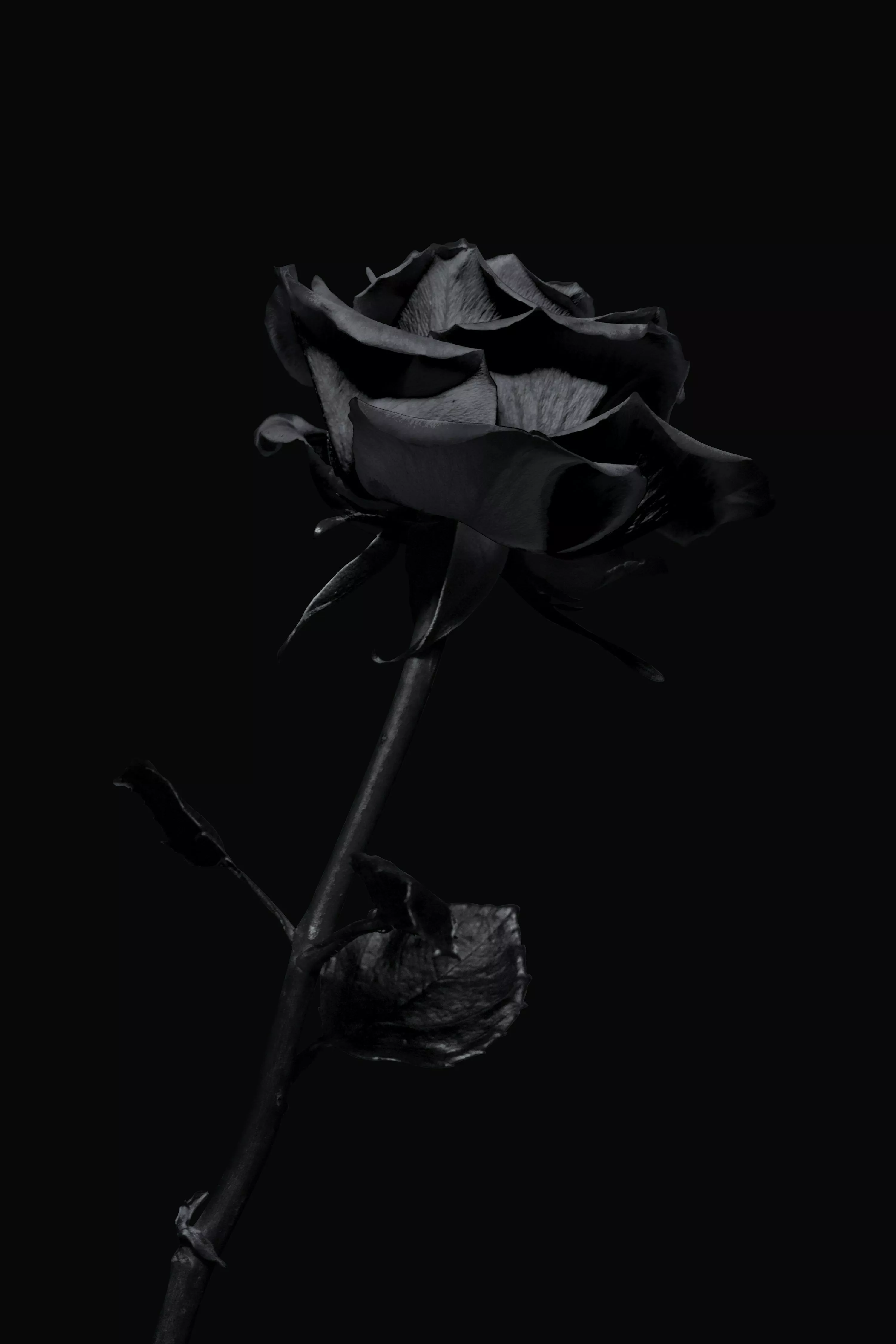 iPhone Dark Picture. Download