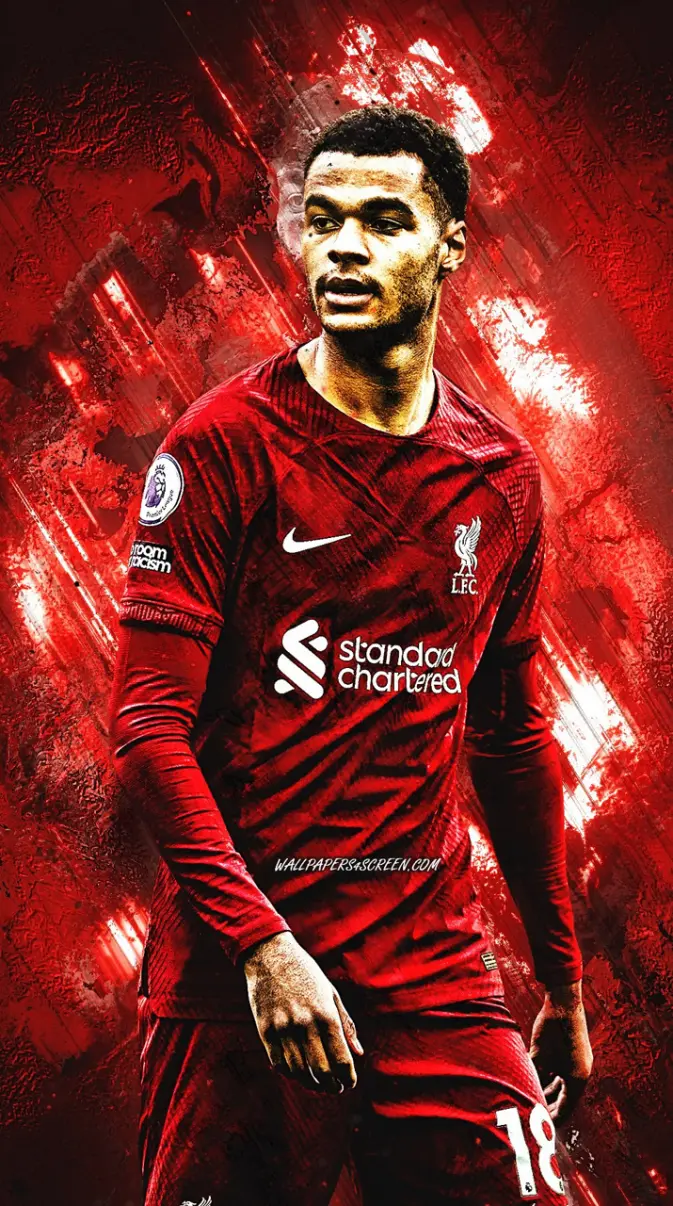 Cody Gakpo wallpaper