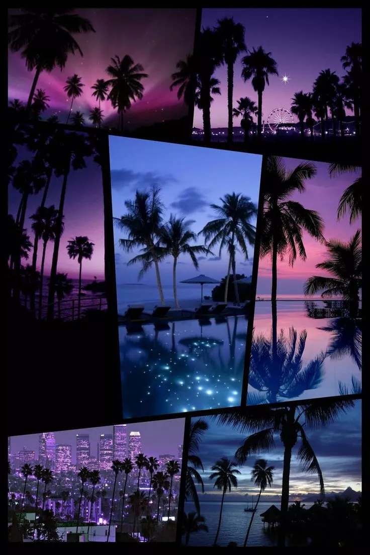 Palm Collage wallpaper