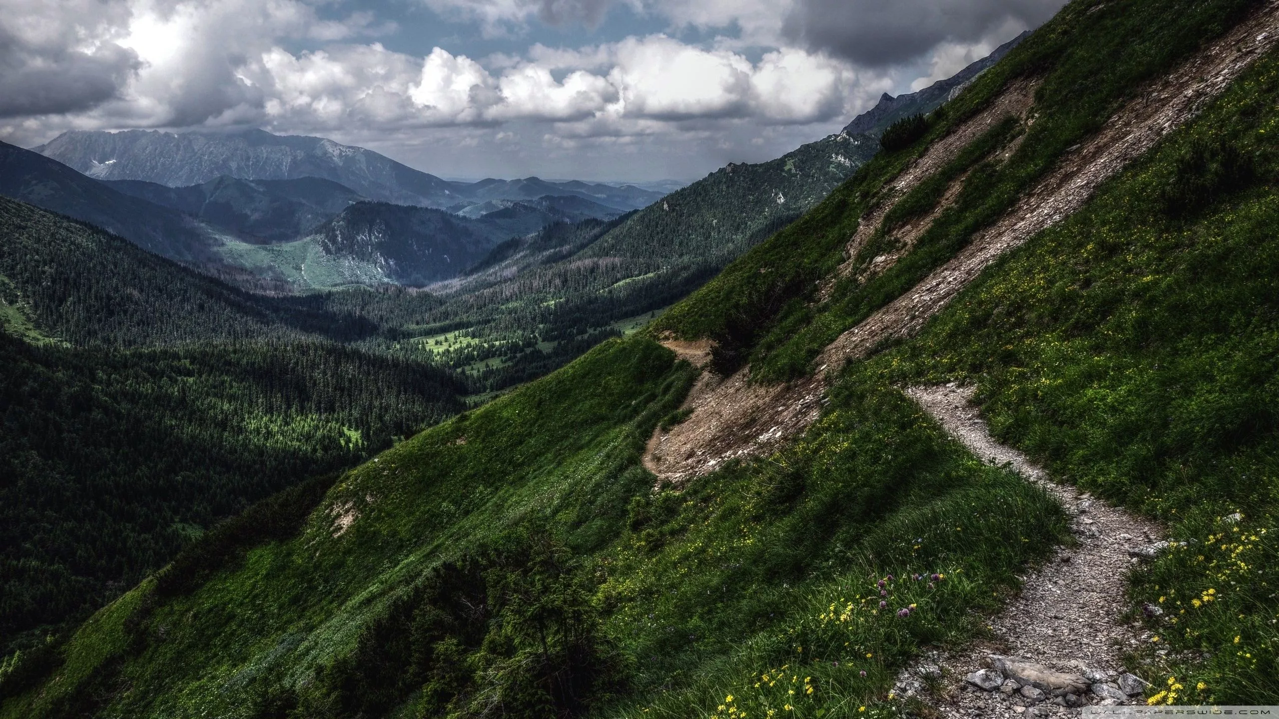 Mountain Path Ultra HD Wallpaper for 4K