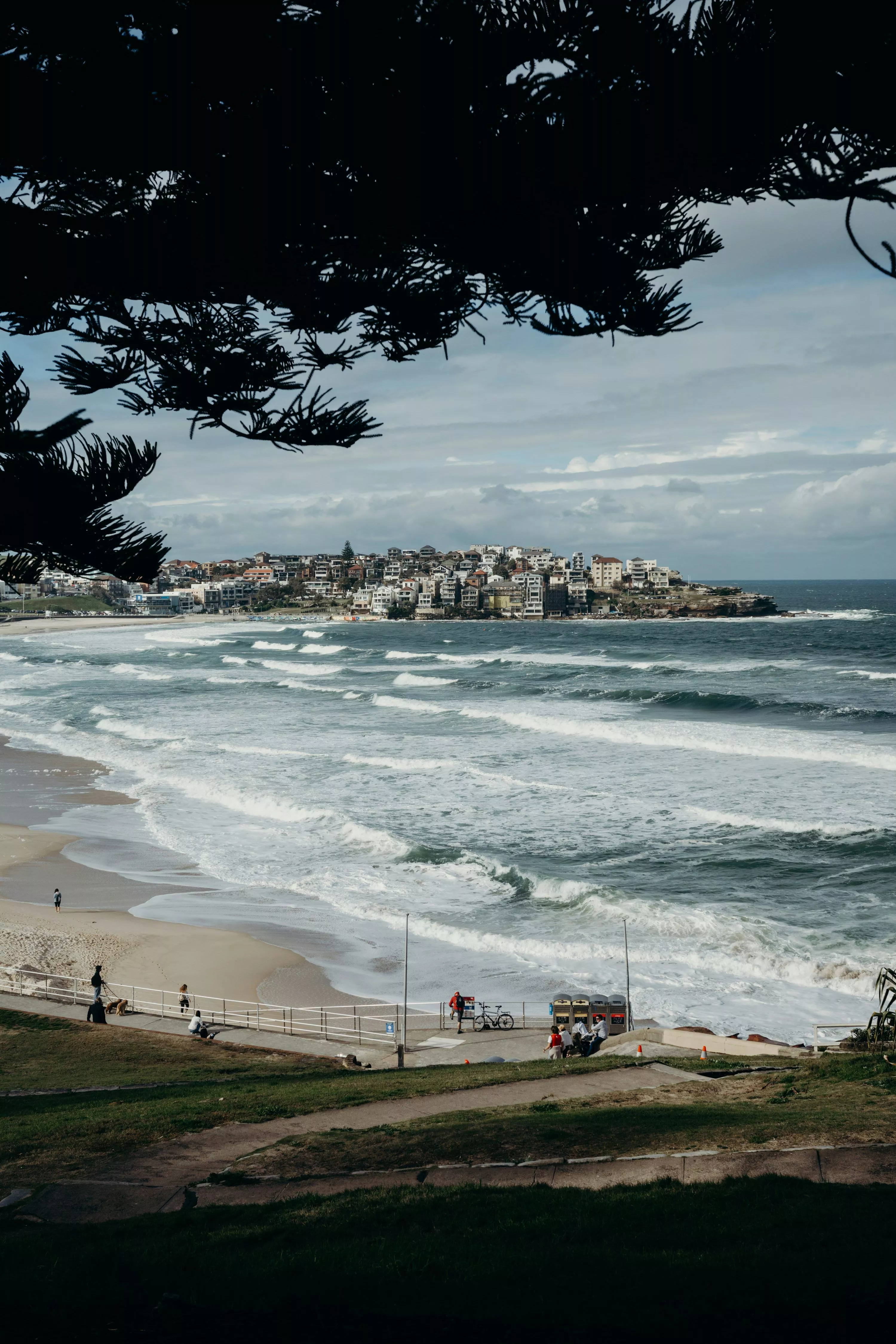 Free Bondi beach nsw Image