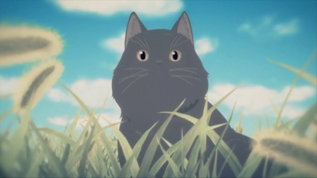 She and Her Cat: Everything Flows TV