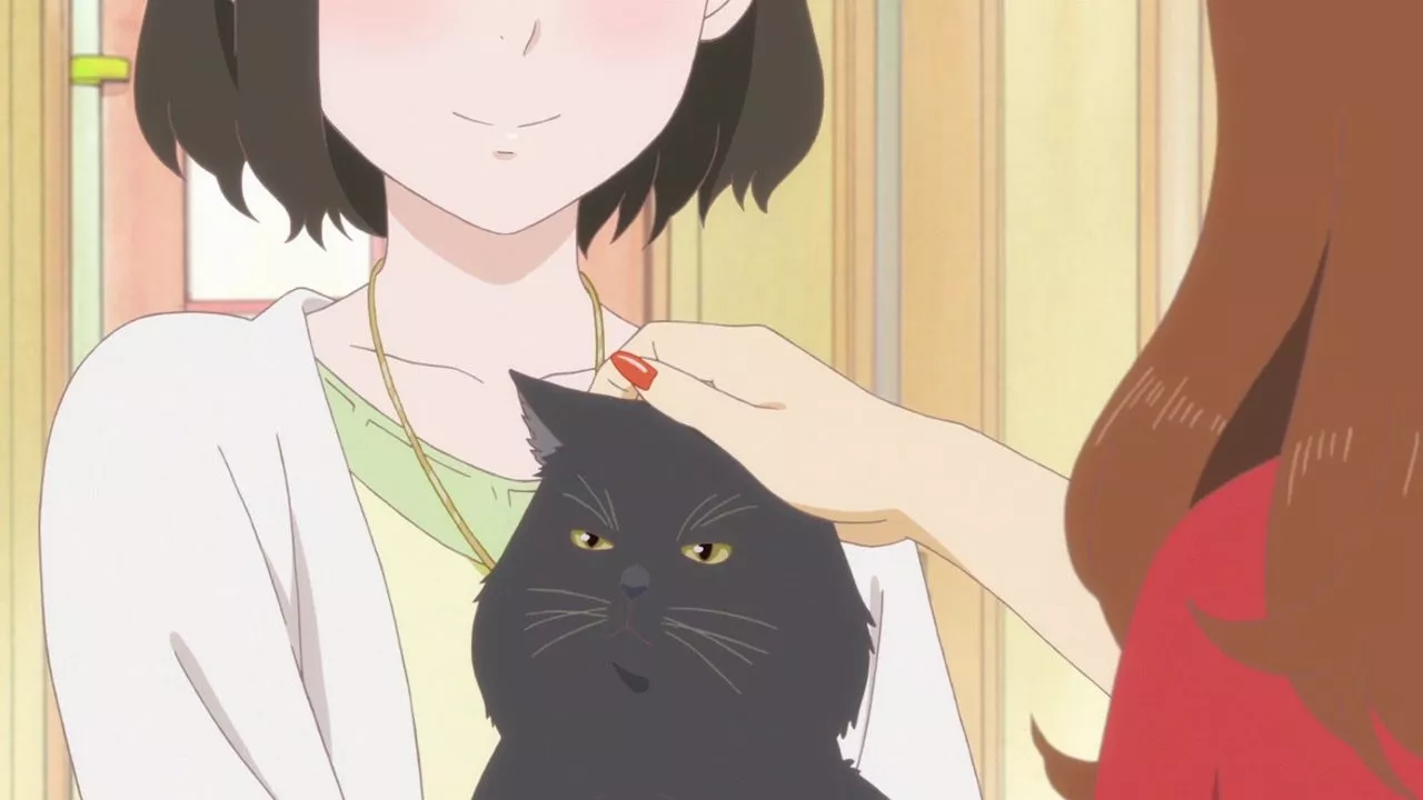 She and Her Cat: Everything Flows TV