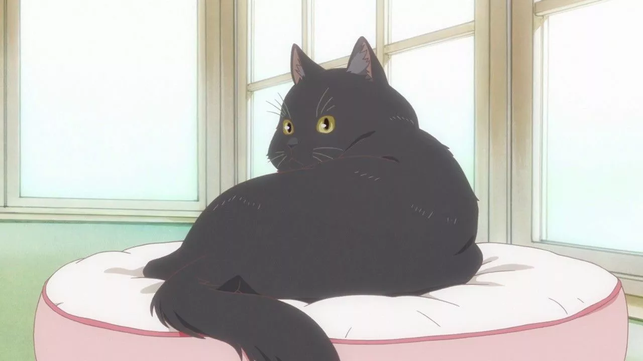 She and Her Cat: Everything Flows TV