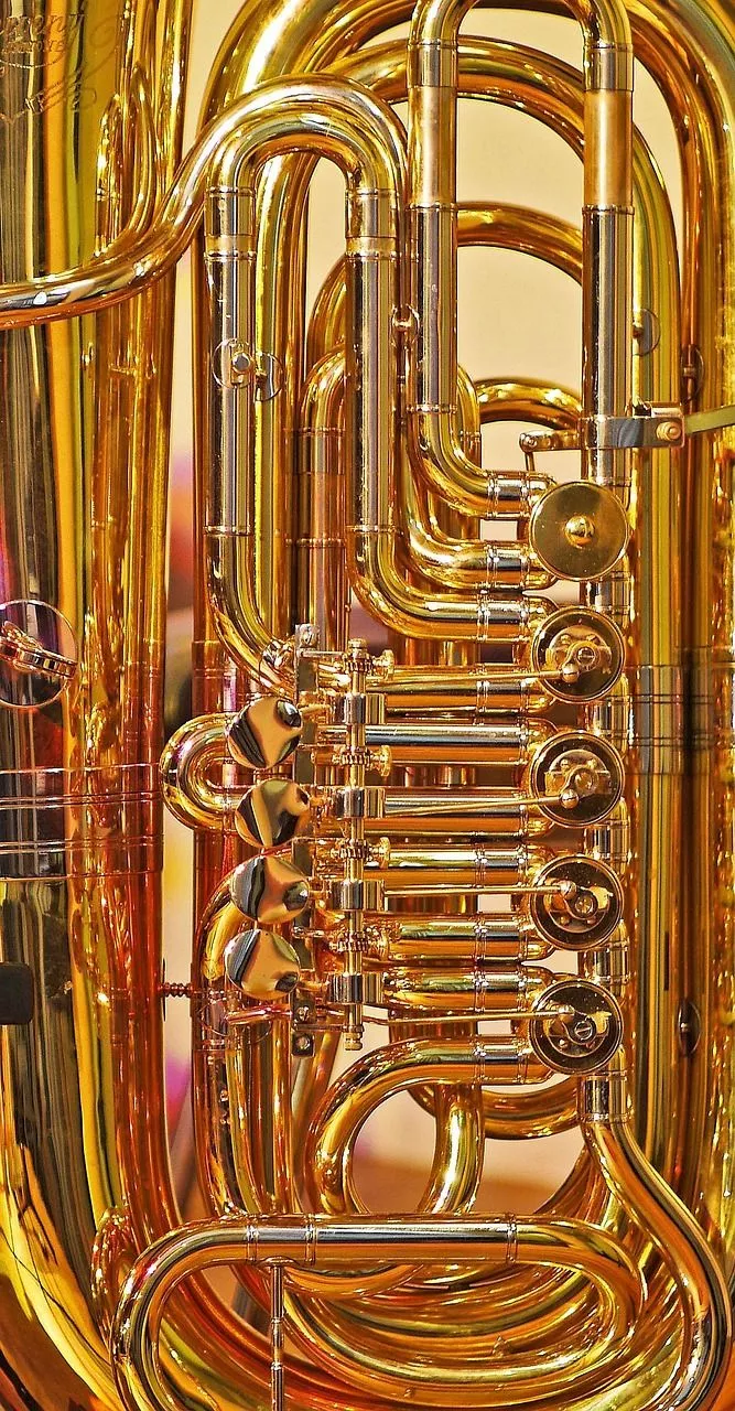 Tuba Valves To Roar