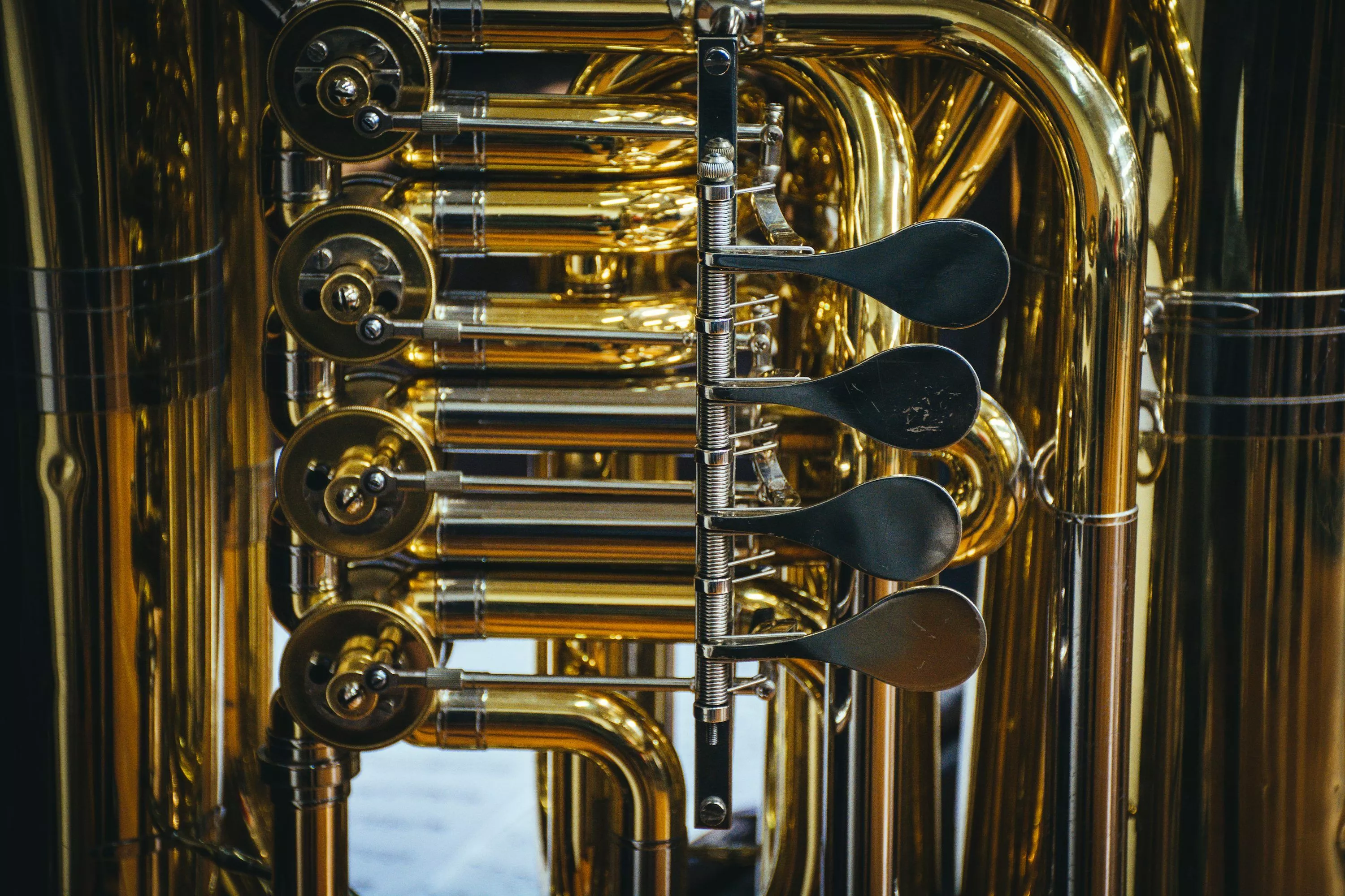 Brass Colored Wind Instrument Photo