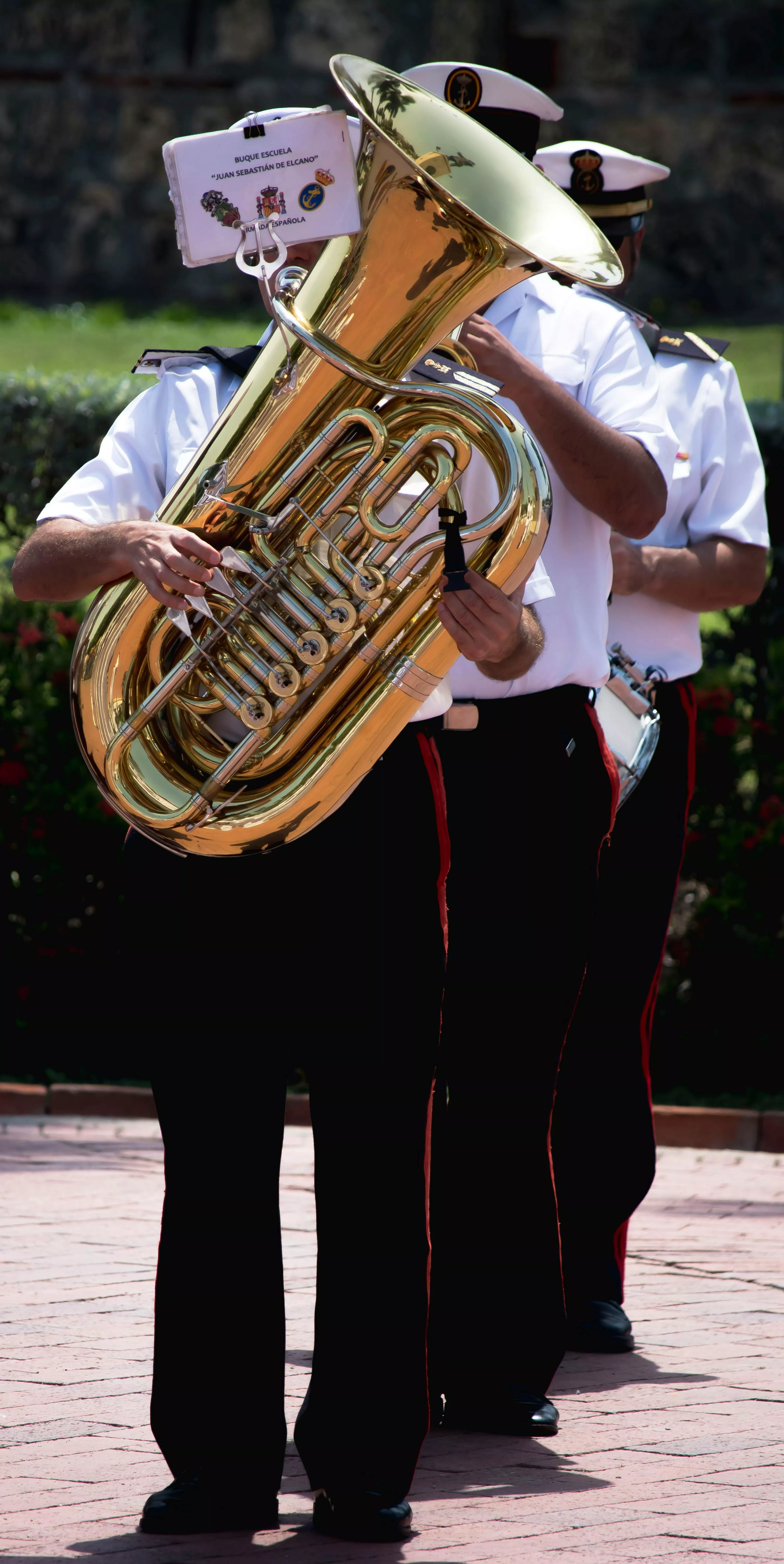 Orchestra Playing Tuba · Free
