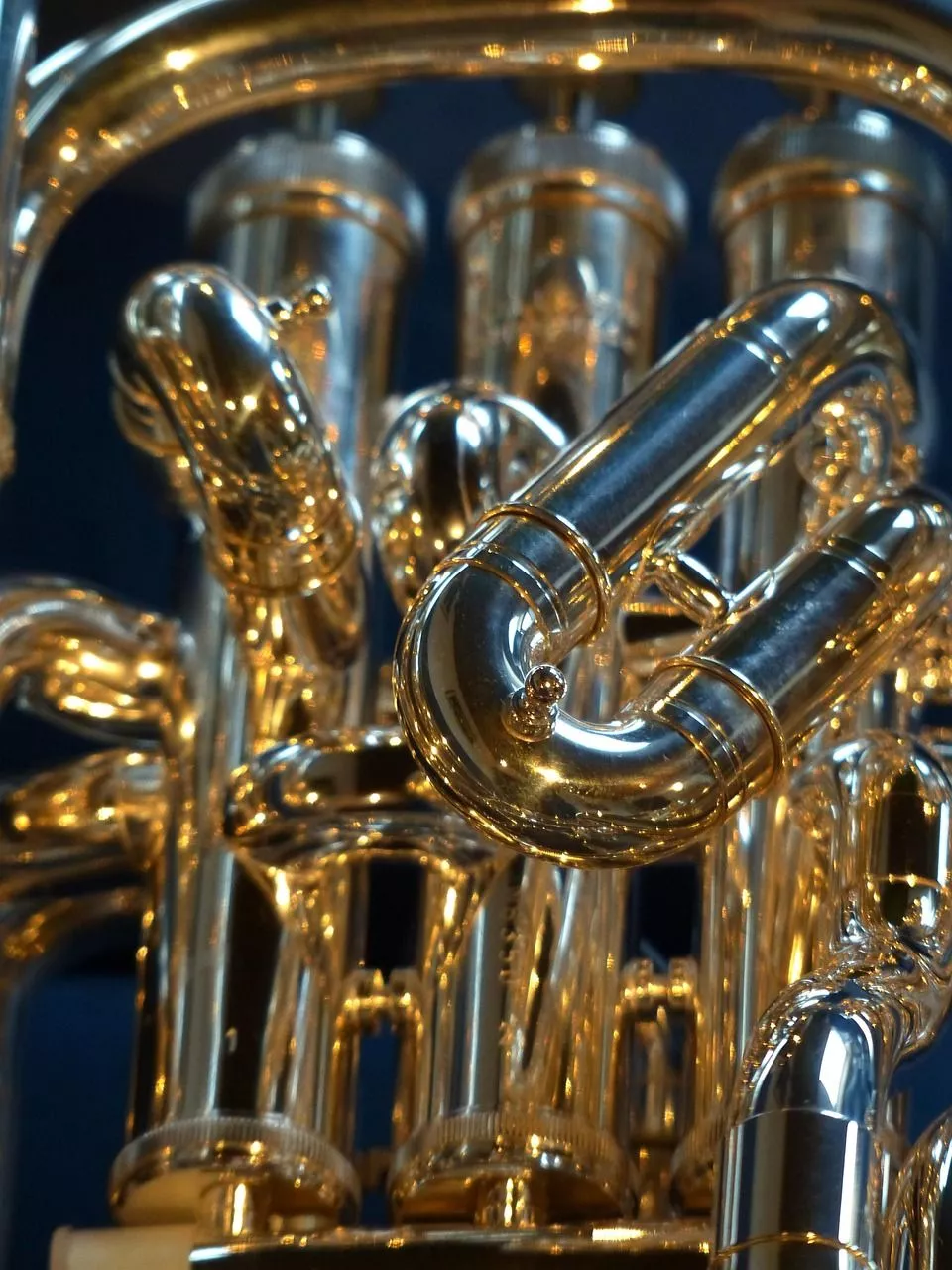 Euphonium Brass Instrument photo