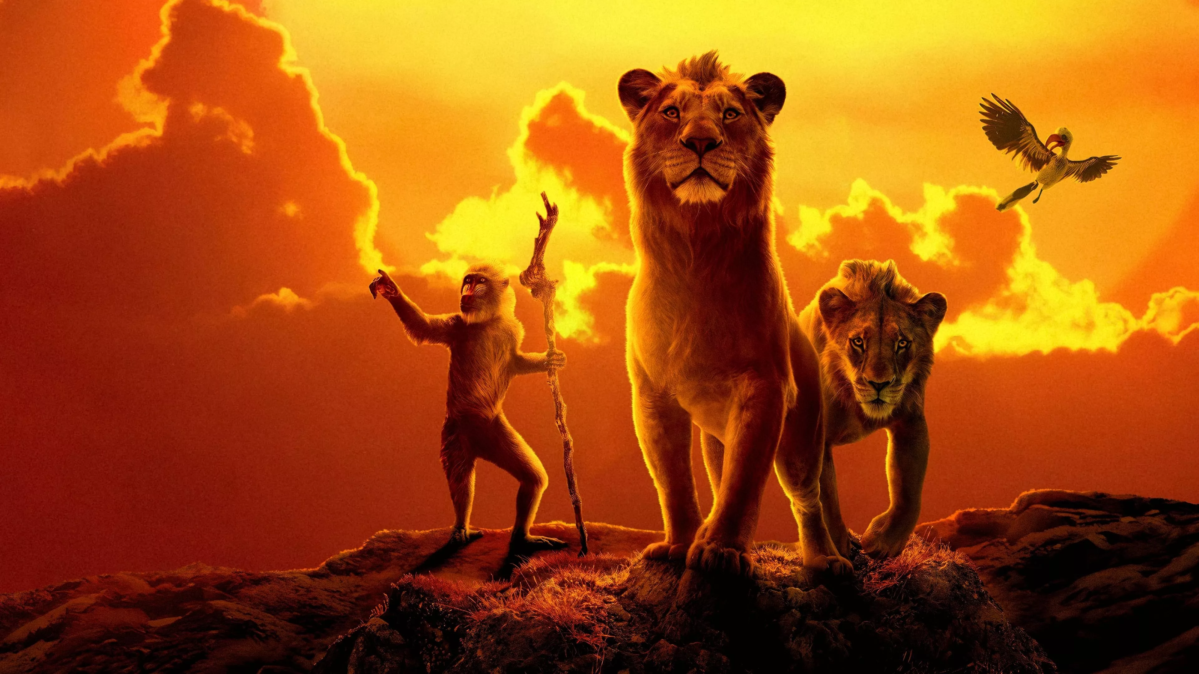 Mufasa The Lion King HD Wallpaper