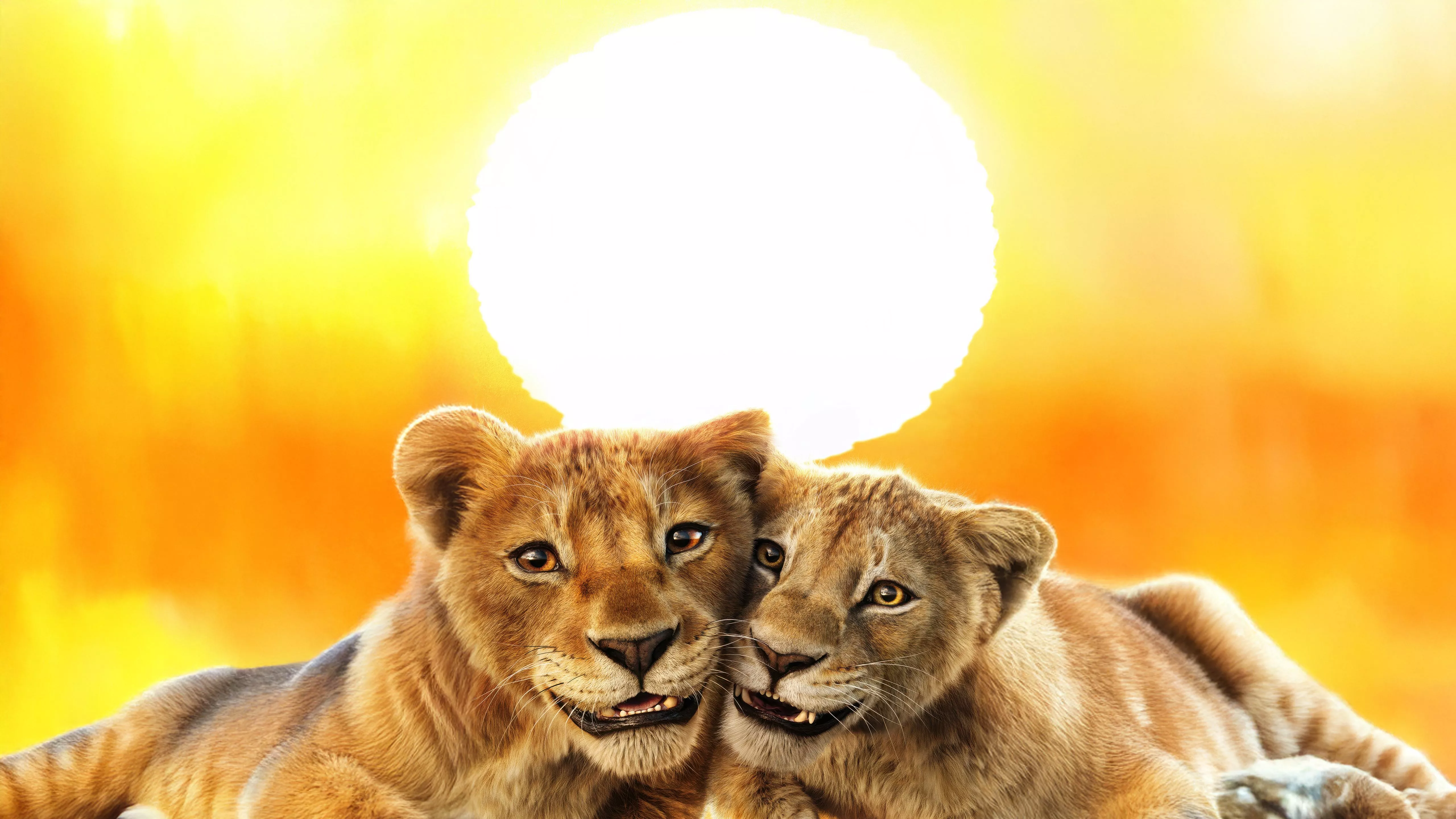 Movies Wallpaper, 4k Wallpaper