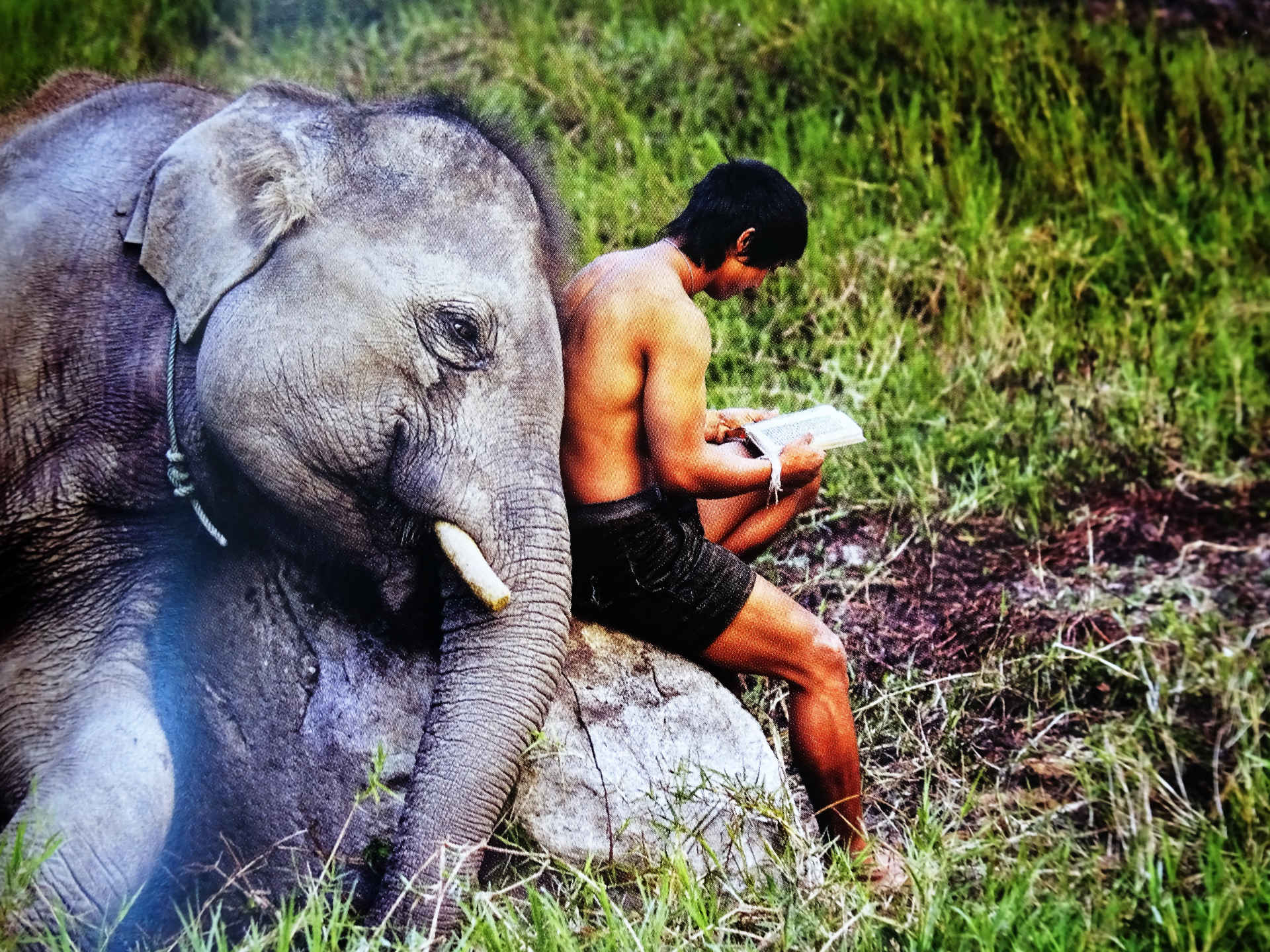 Steve McCurry's photographs