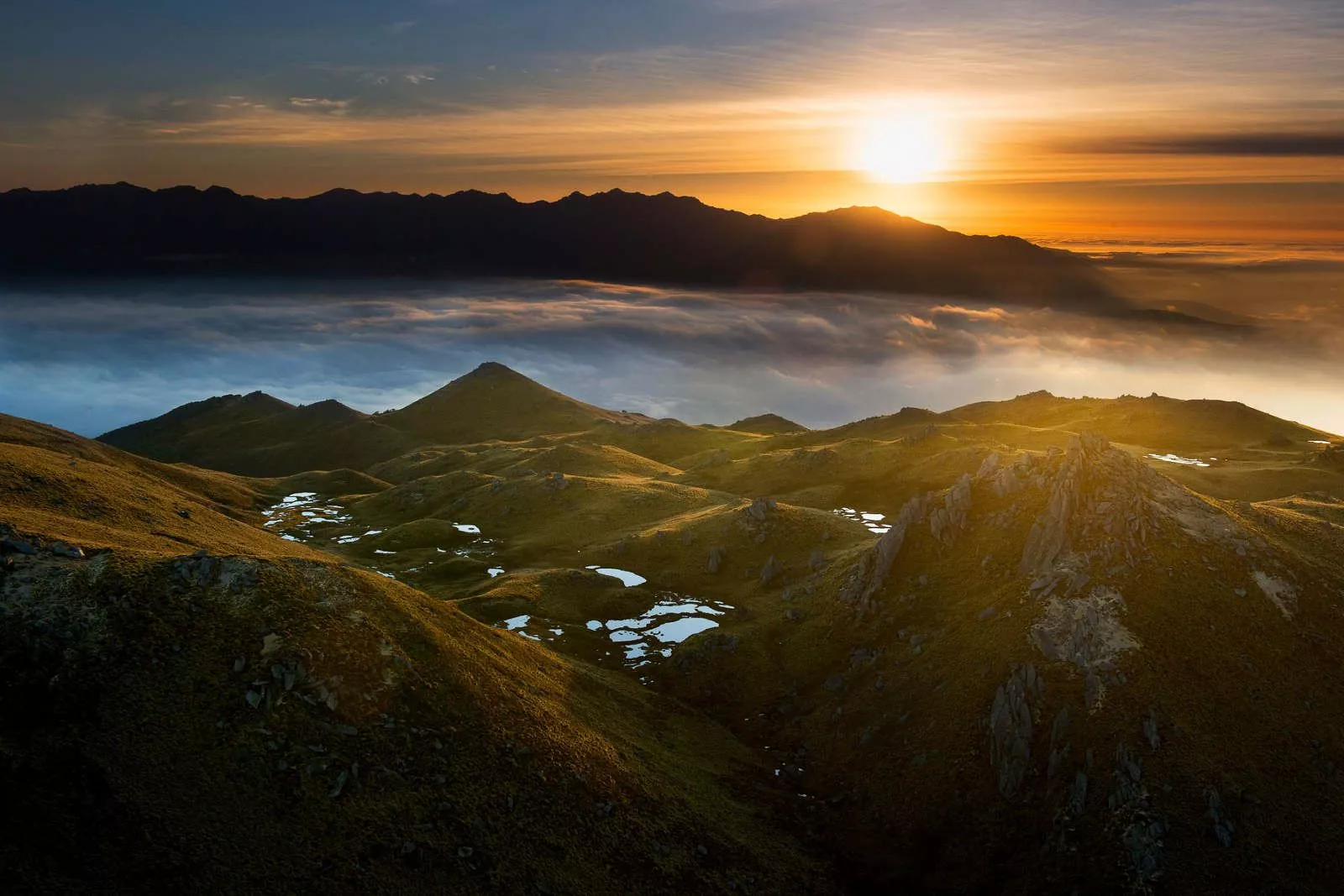 Windows 10 Wallpaper Photography