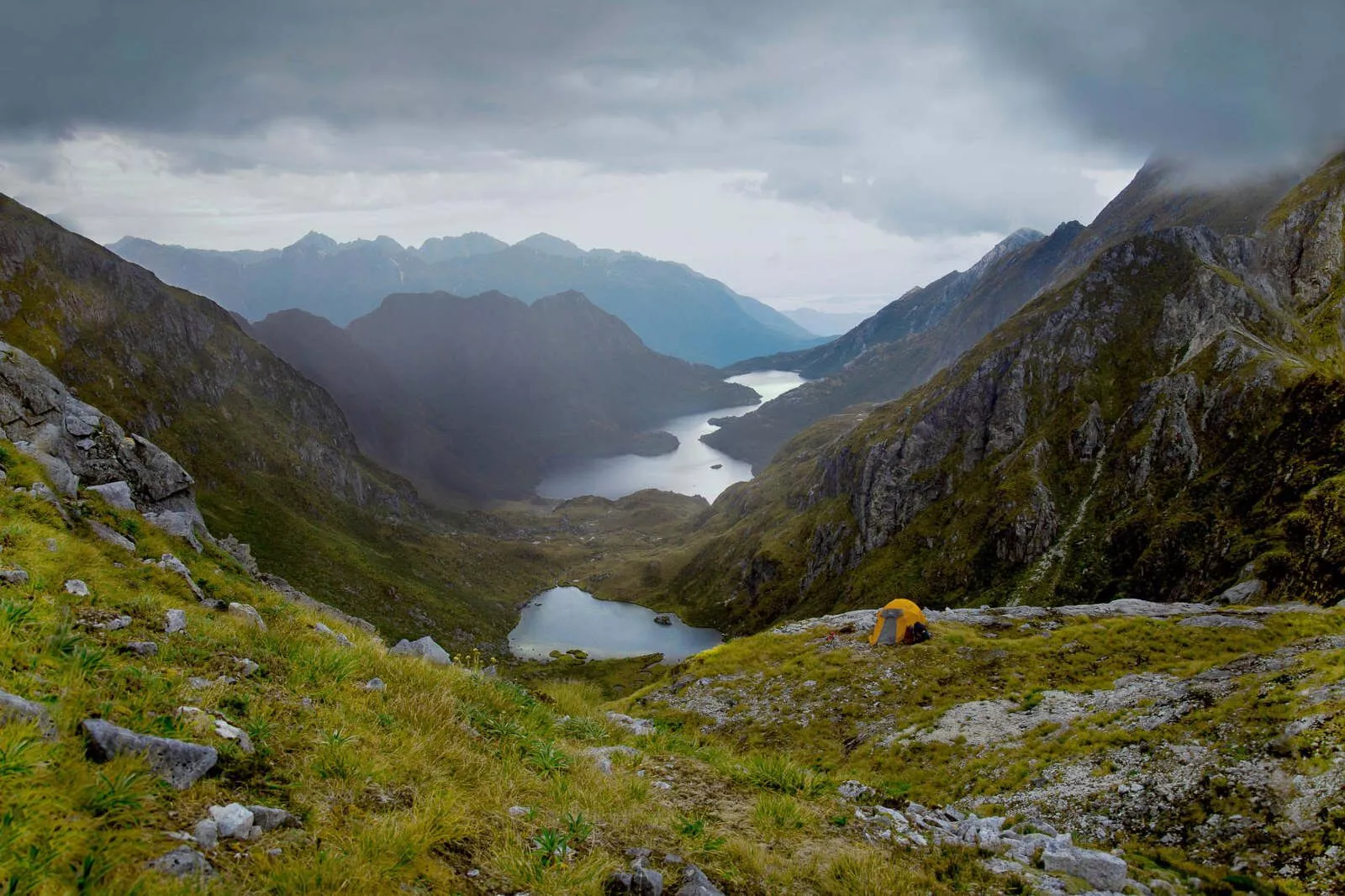 Marylee Burman Windows 10 Art Direction