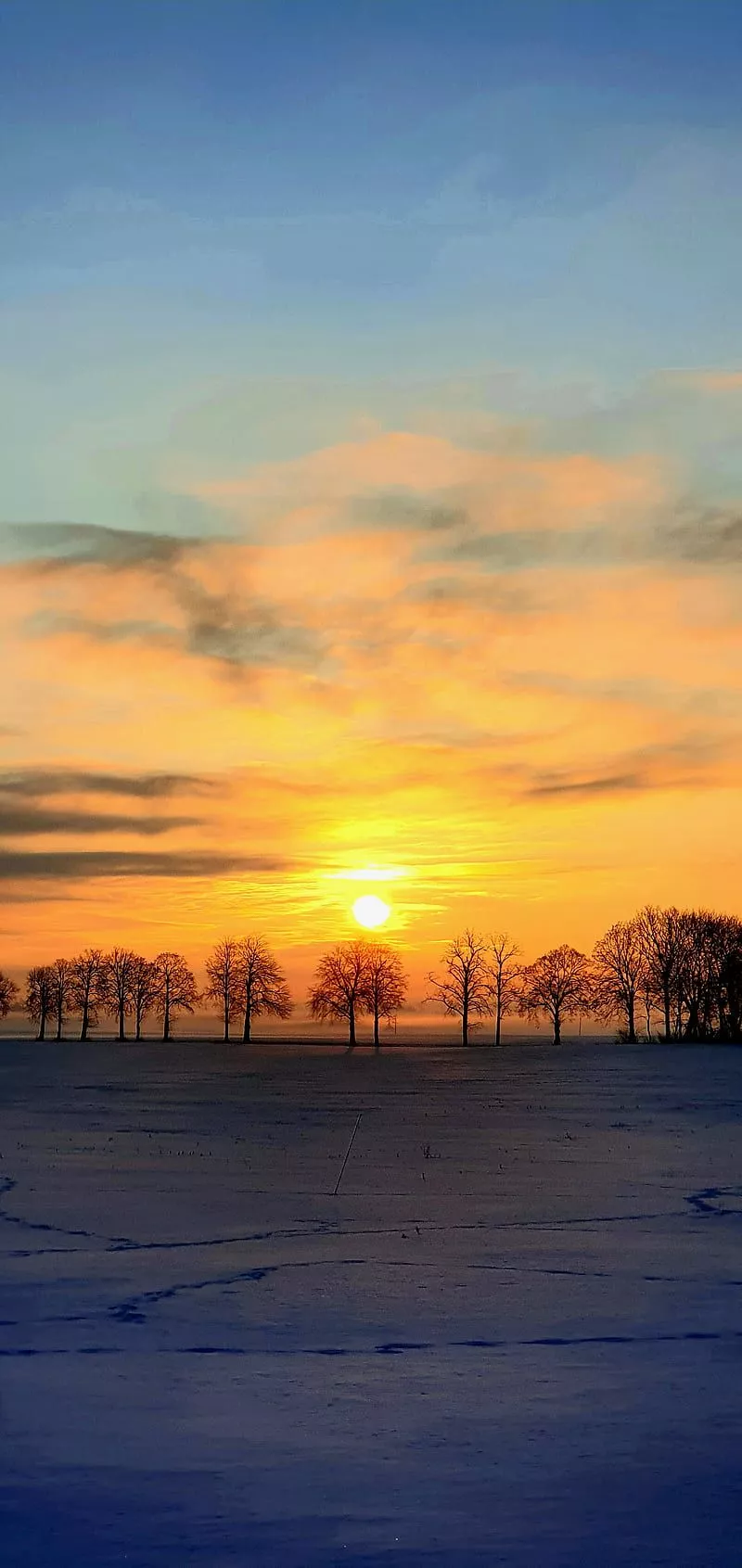 HD winter sun rise wallpaper