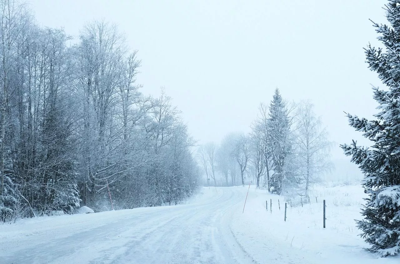 Road Winter Mist