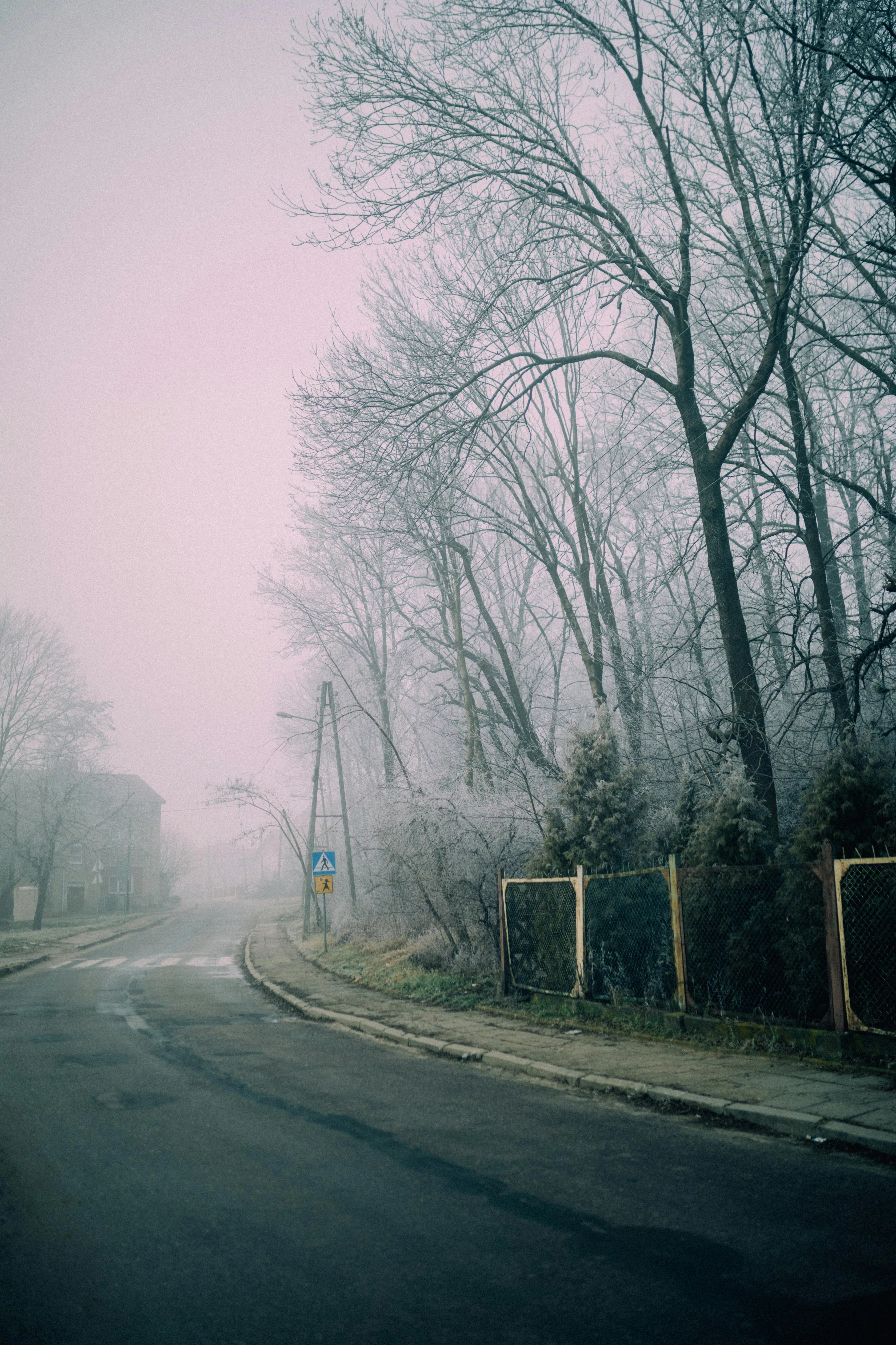 Fog Covering the Asphalt Road · Free
