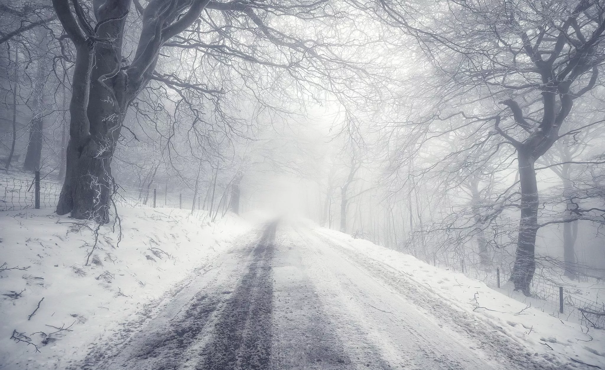 Snow Fog Nature Winter HD Wallpaper