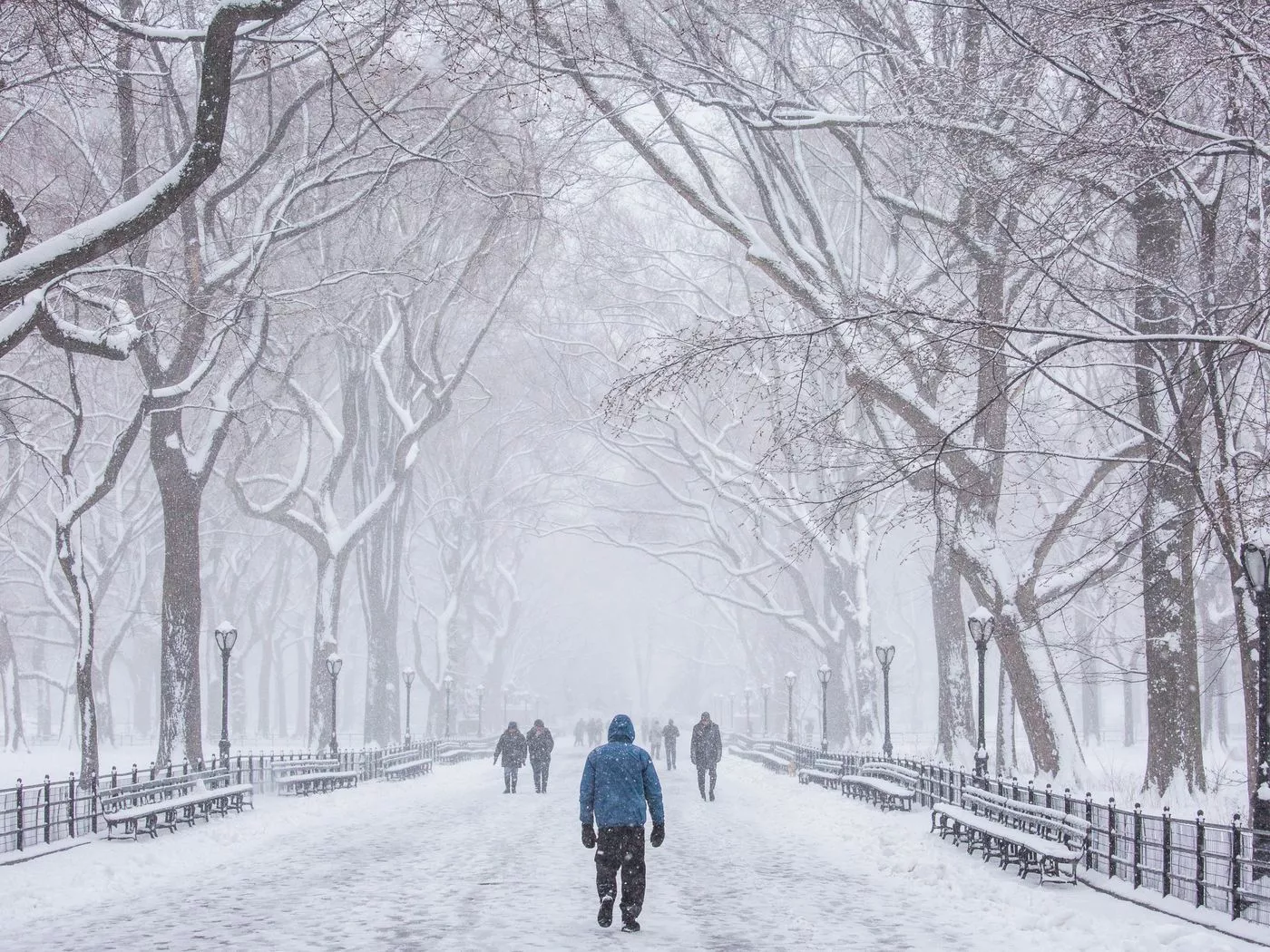 Winter Storm Toby: see photo